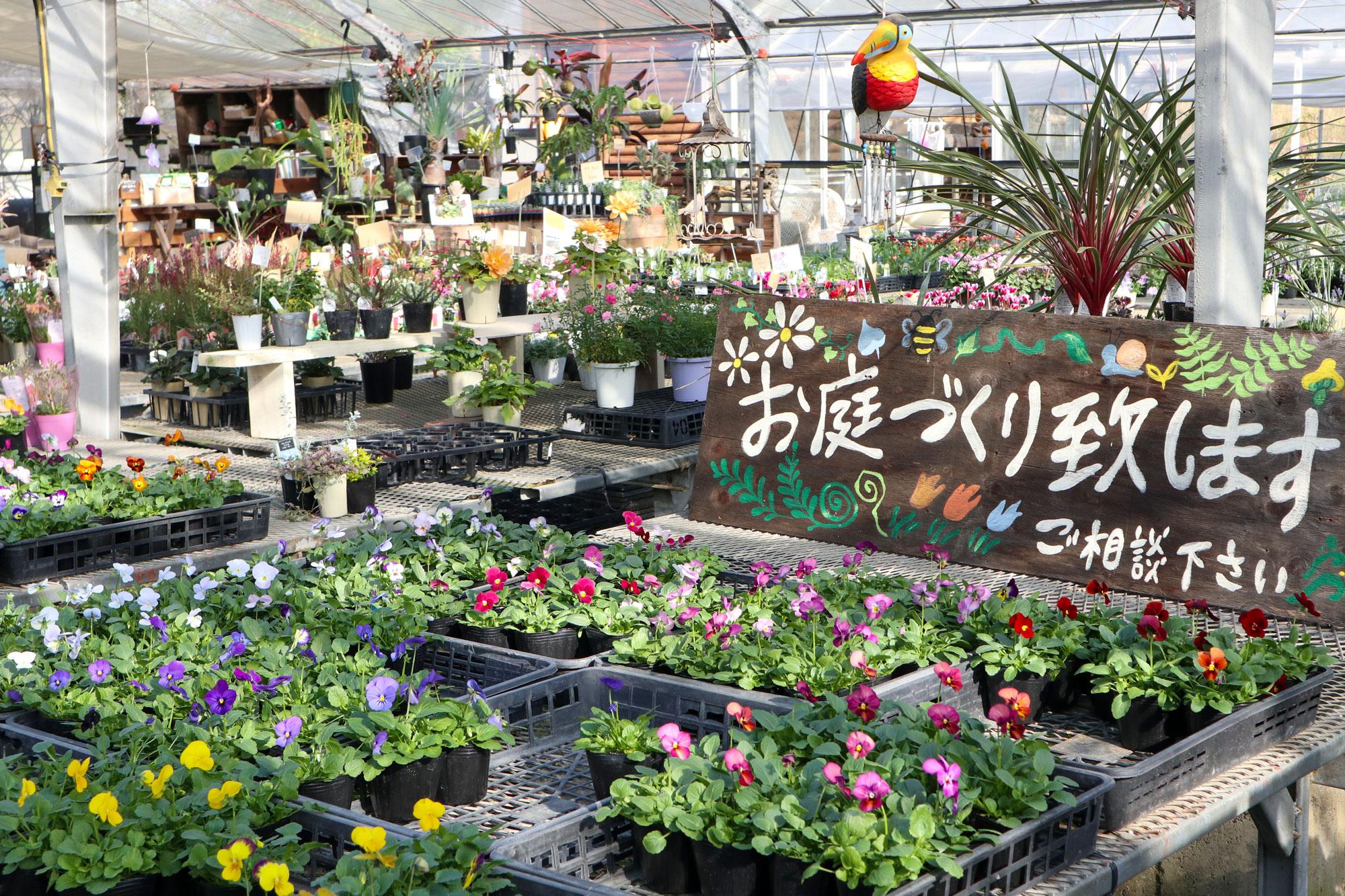【加西】ここにしかないオリジナルプランツも！ 約600種類の植物がそろう園芸店｜もりあん花の店
