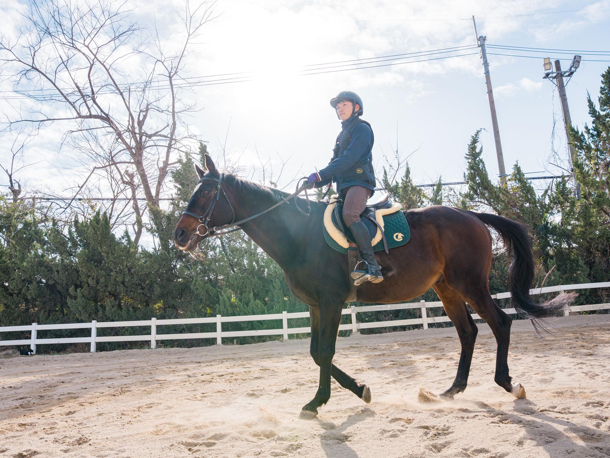 【加古川】午年は馬とふれあって開運！初心者から楽しめる関西最大級の乗馬体験｜ニッケ乗馬クラブ・クレイン加古川