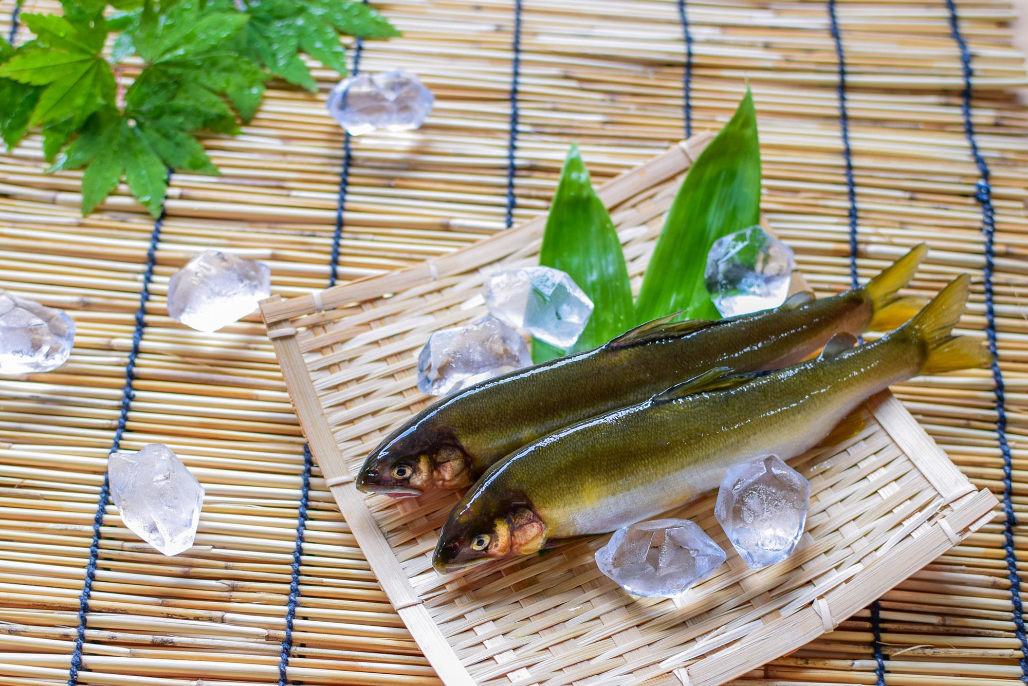 【佐用】「鮎の塩焼き」＆銘菓「鮎もなか」で楽しむ鮎尽くしグルメ｜民宿 若鮎荘・和菓子処 杵屋 