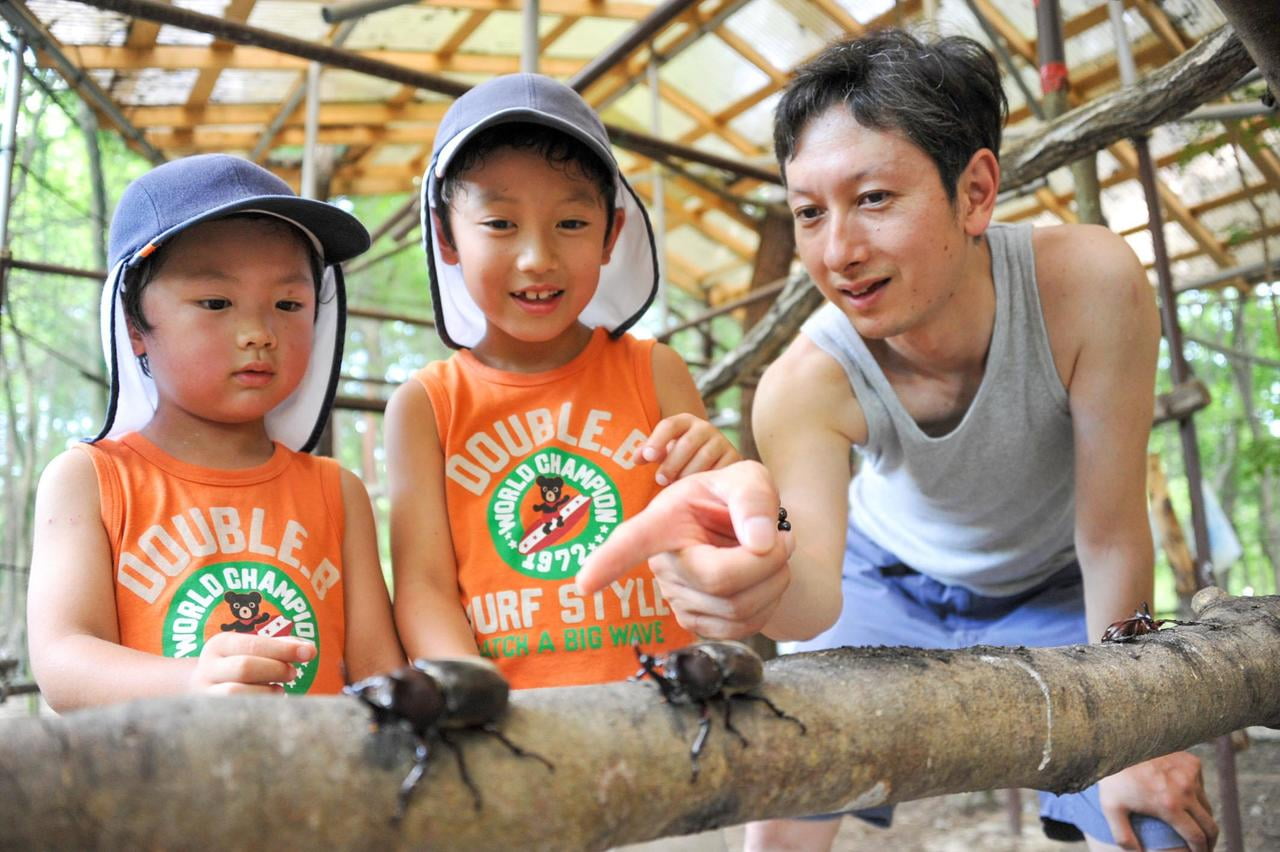 カブトムシを触る男の子の写真