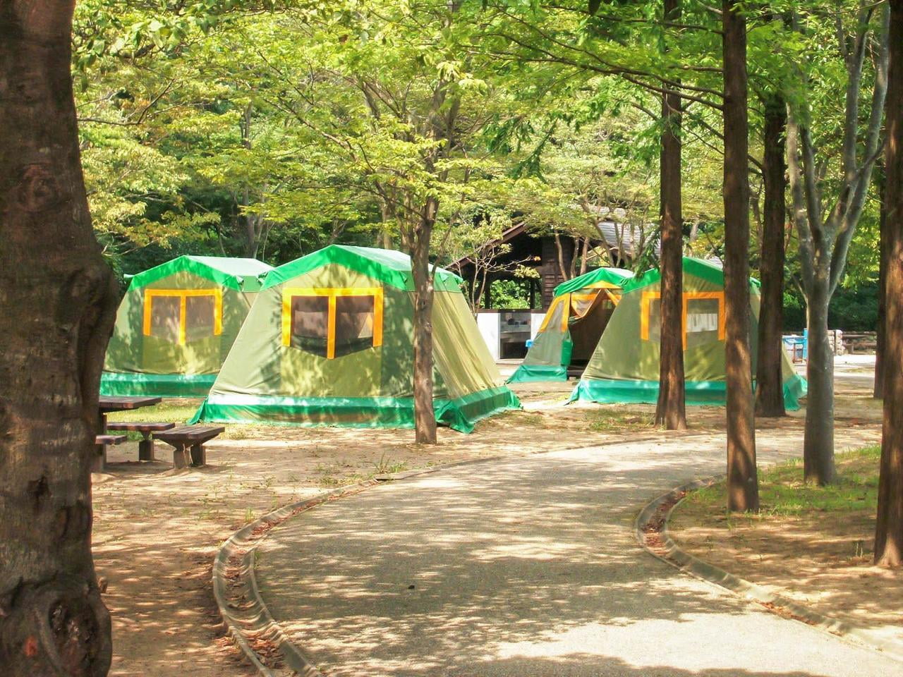 テントキャンプ場の写真_しあわせの村
