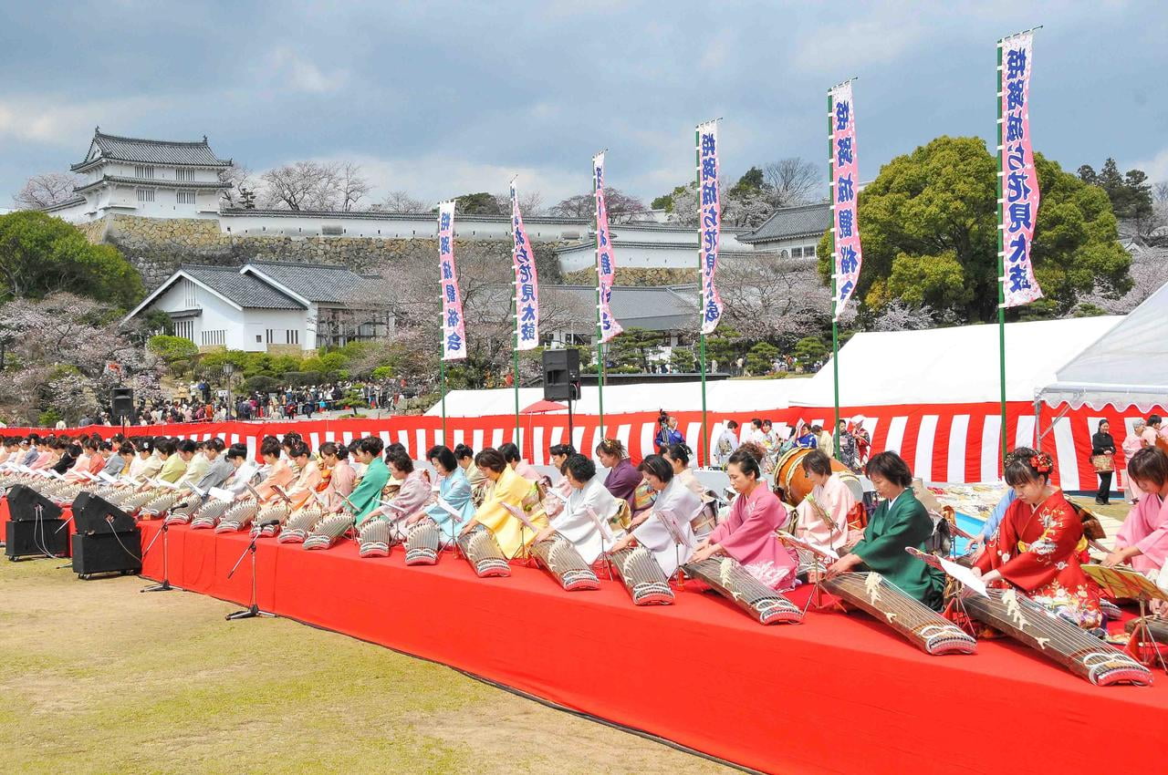 観桜会の写真