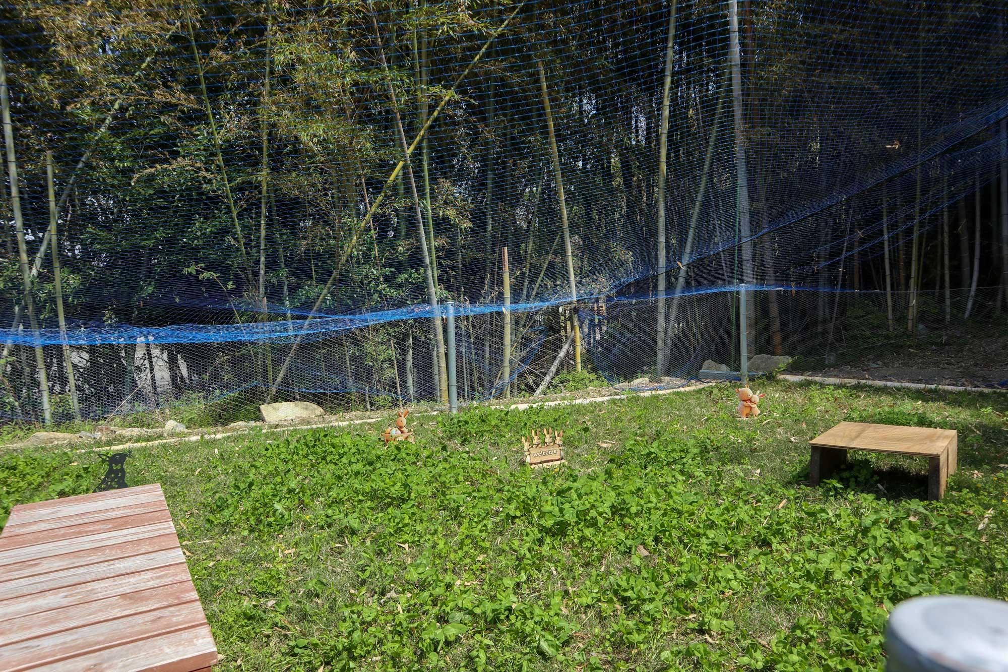 加工済_2606_特集「ペット」_Everyone's-Garden_写真05.jpg