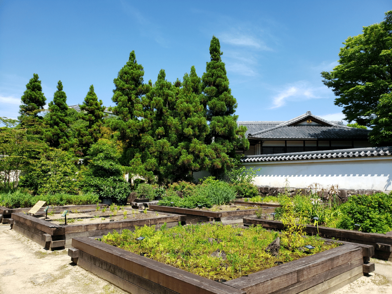 苗の庭