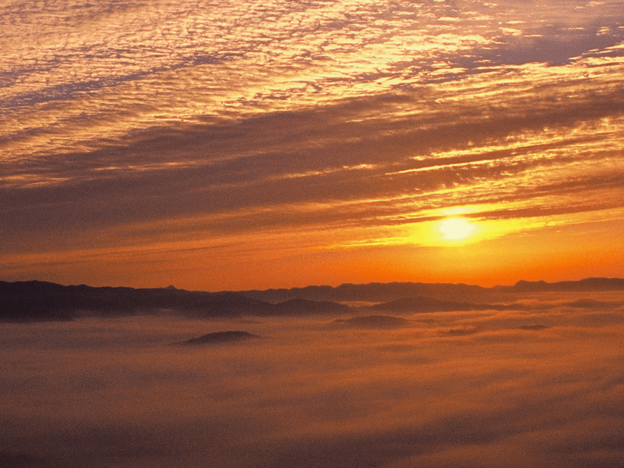 大撫山の朝霧