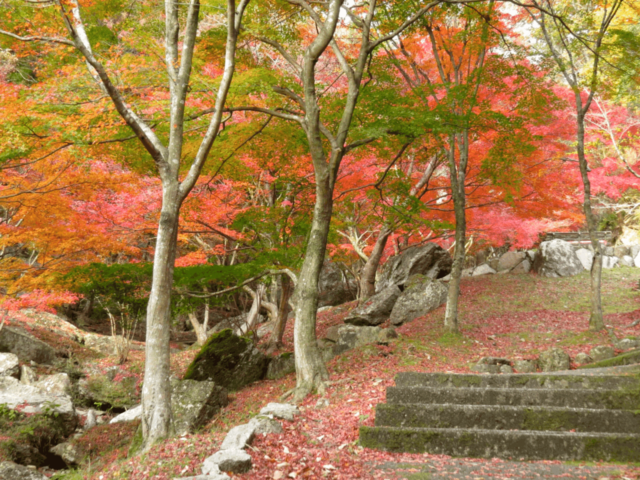 東山公園（フリー）.png