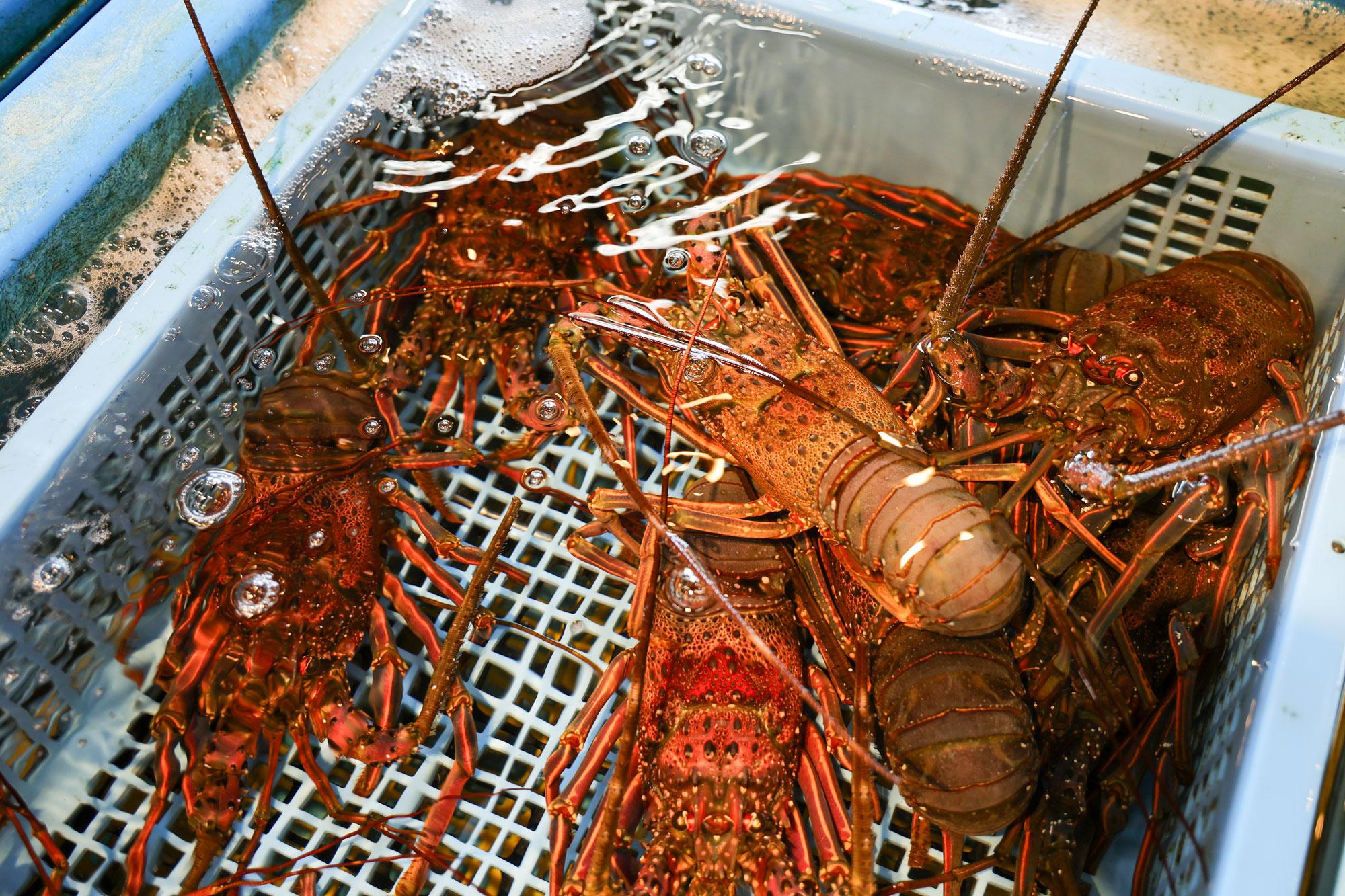 加工済_2501_魅力の播磨-牡蠣特集_魚稚_sub3.jpg
