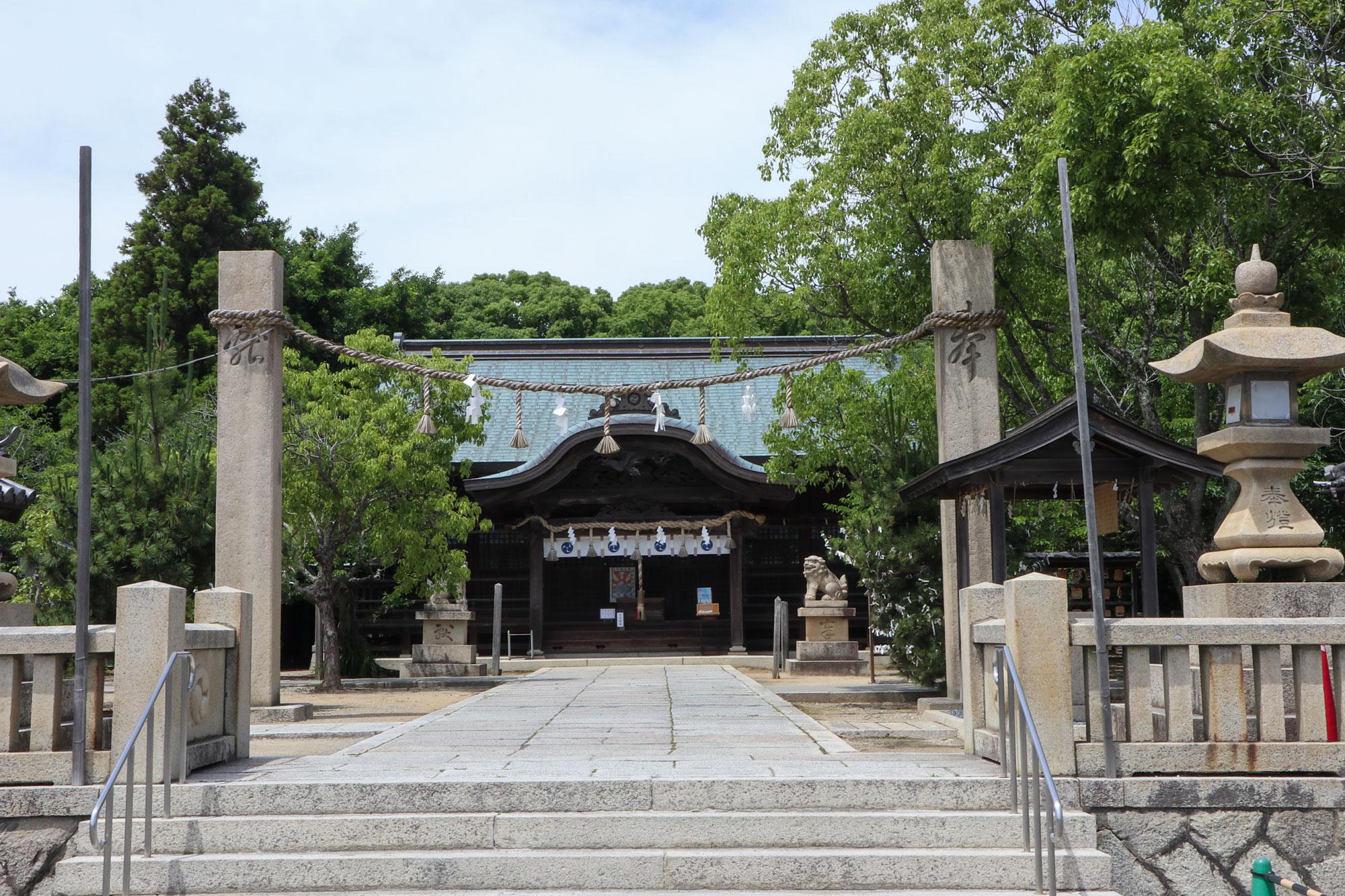 加工済_2507_めっちゃみたい_AMAMI-TERRACEほか_写真02.jpg