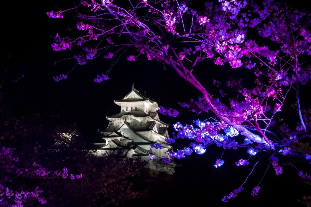 夜の姫路城の写真