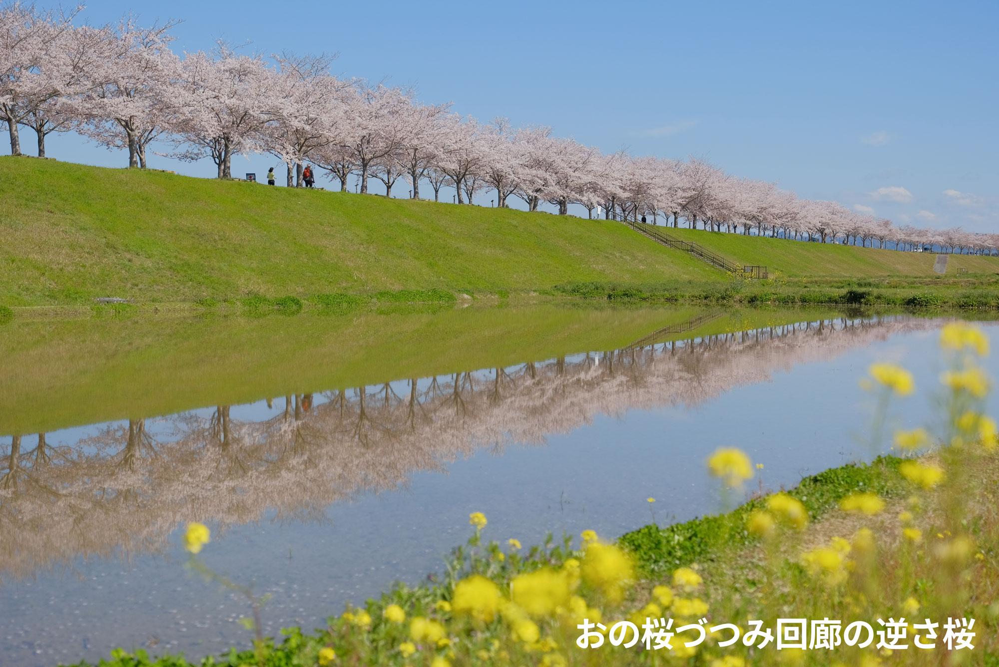 キャプション追加+加工済_2503_ふるさと納税返礼品_小野市_写真04.jpg