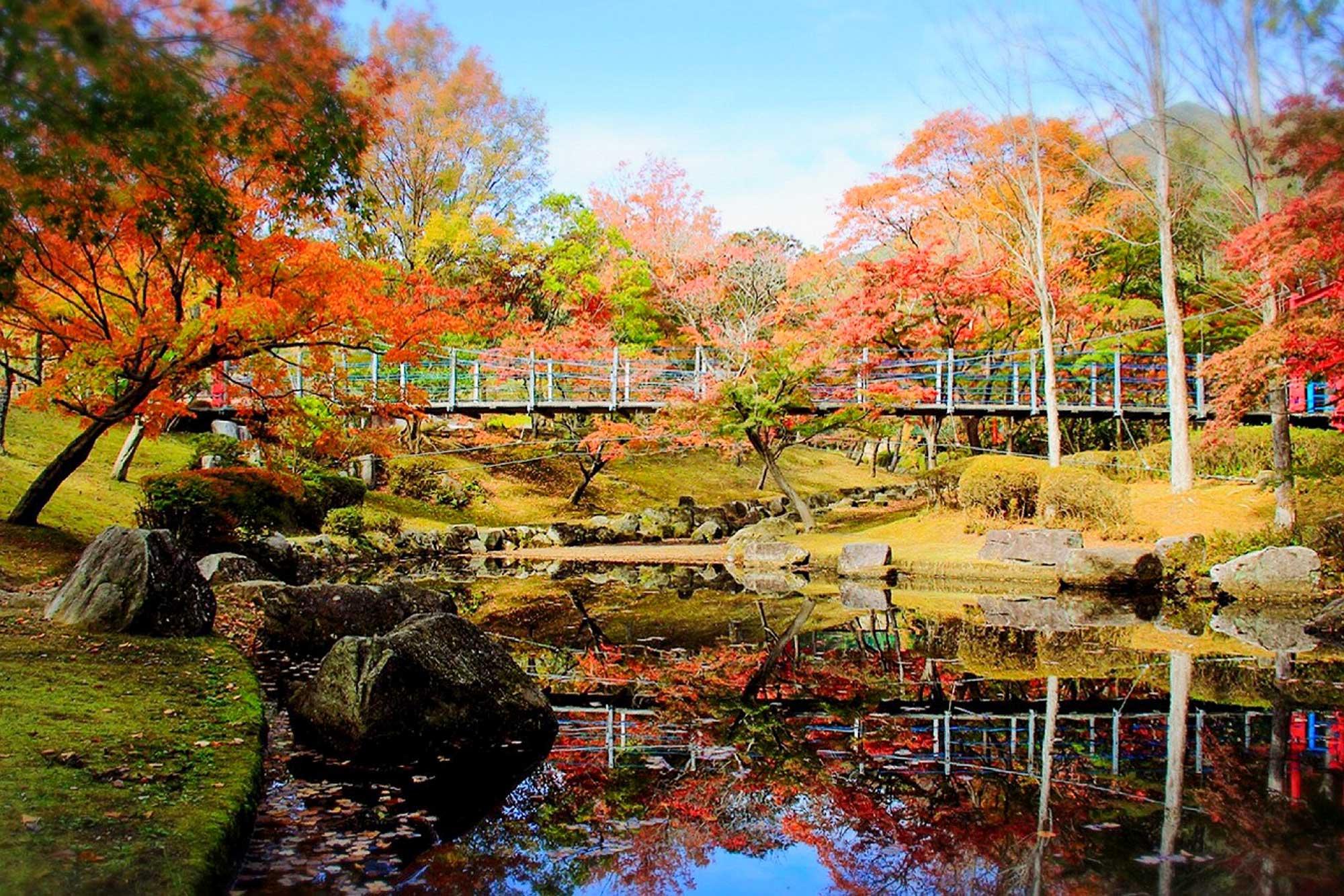 加工済_2411_魅力の播磨-紅葉_写真_余暇村公園紅葉１.jpg