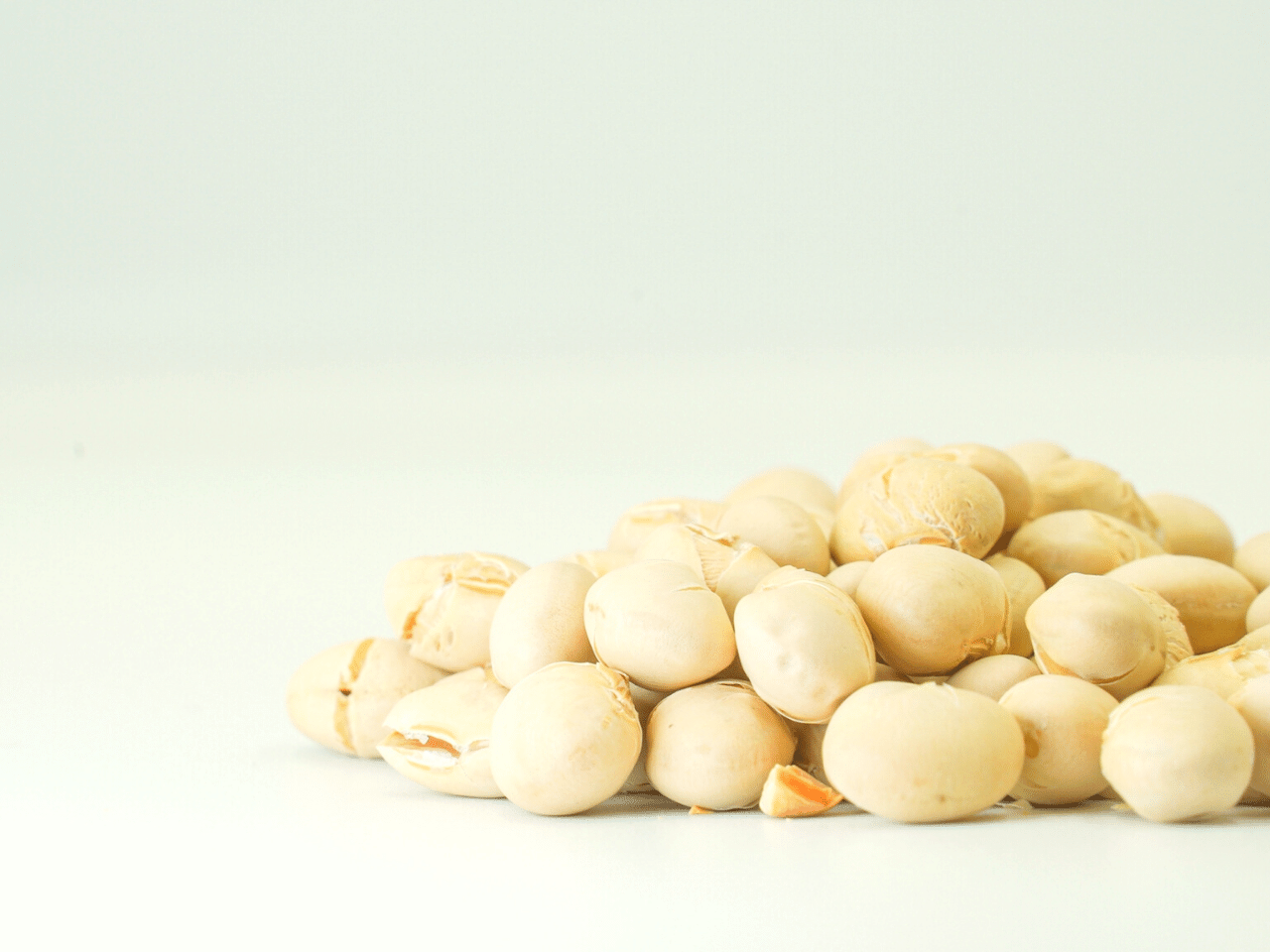 豆の写真