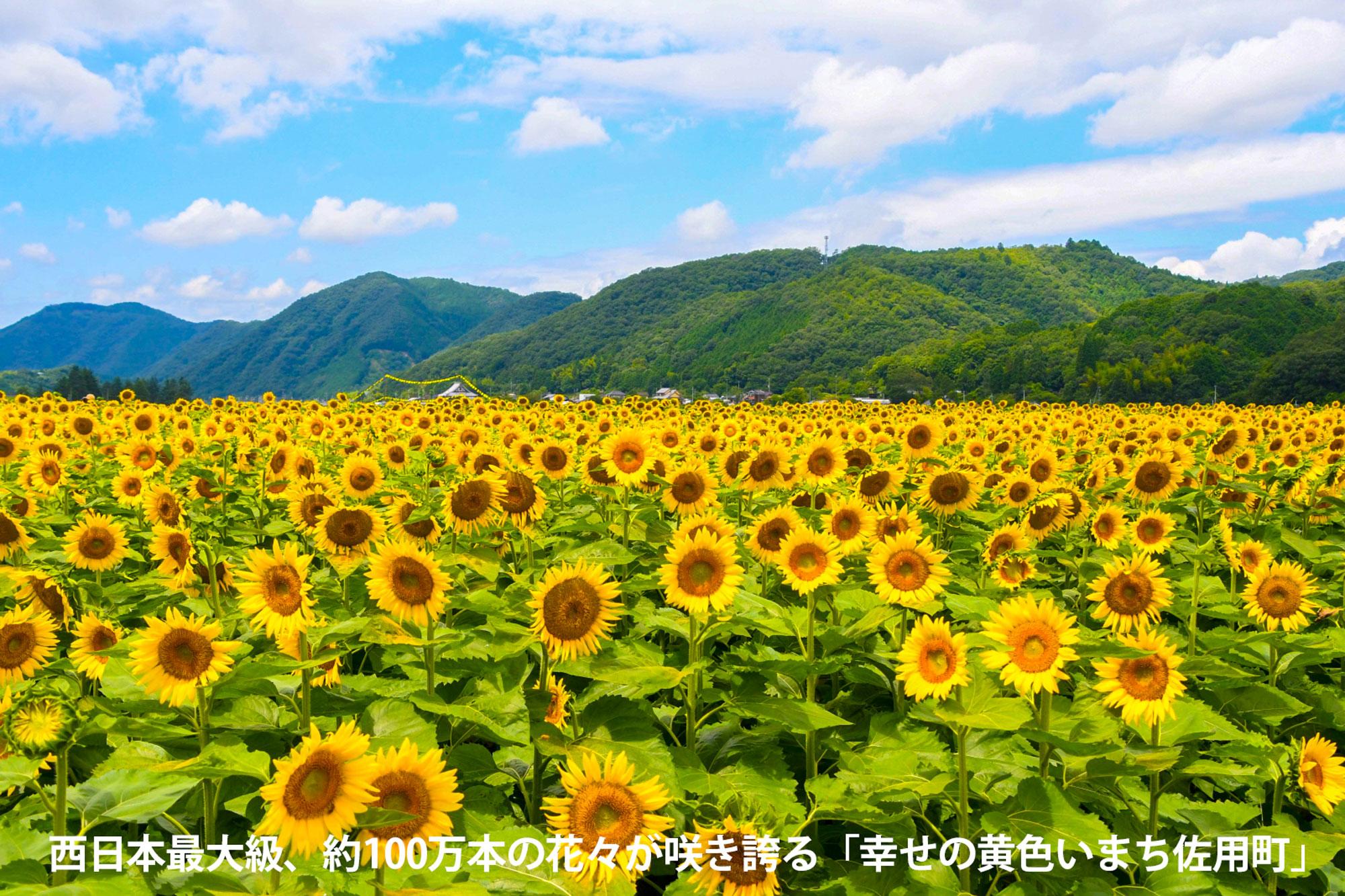 加工済_2506_ふるさと納税返礼品_佐用町_写真05.jpg