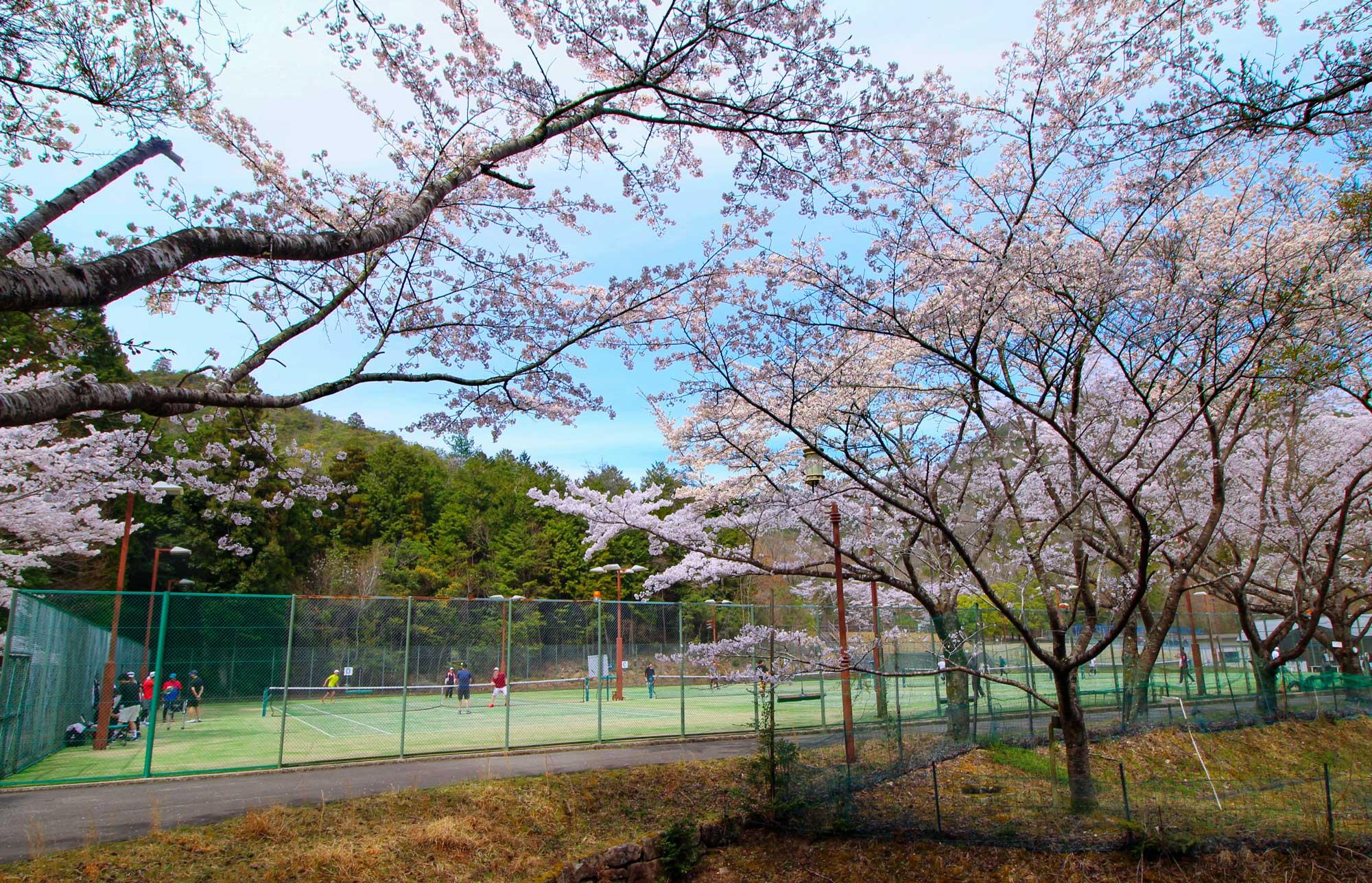 加工済_2505_BBQ_やしろ鴨川の郷_06.jpg