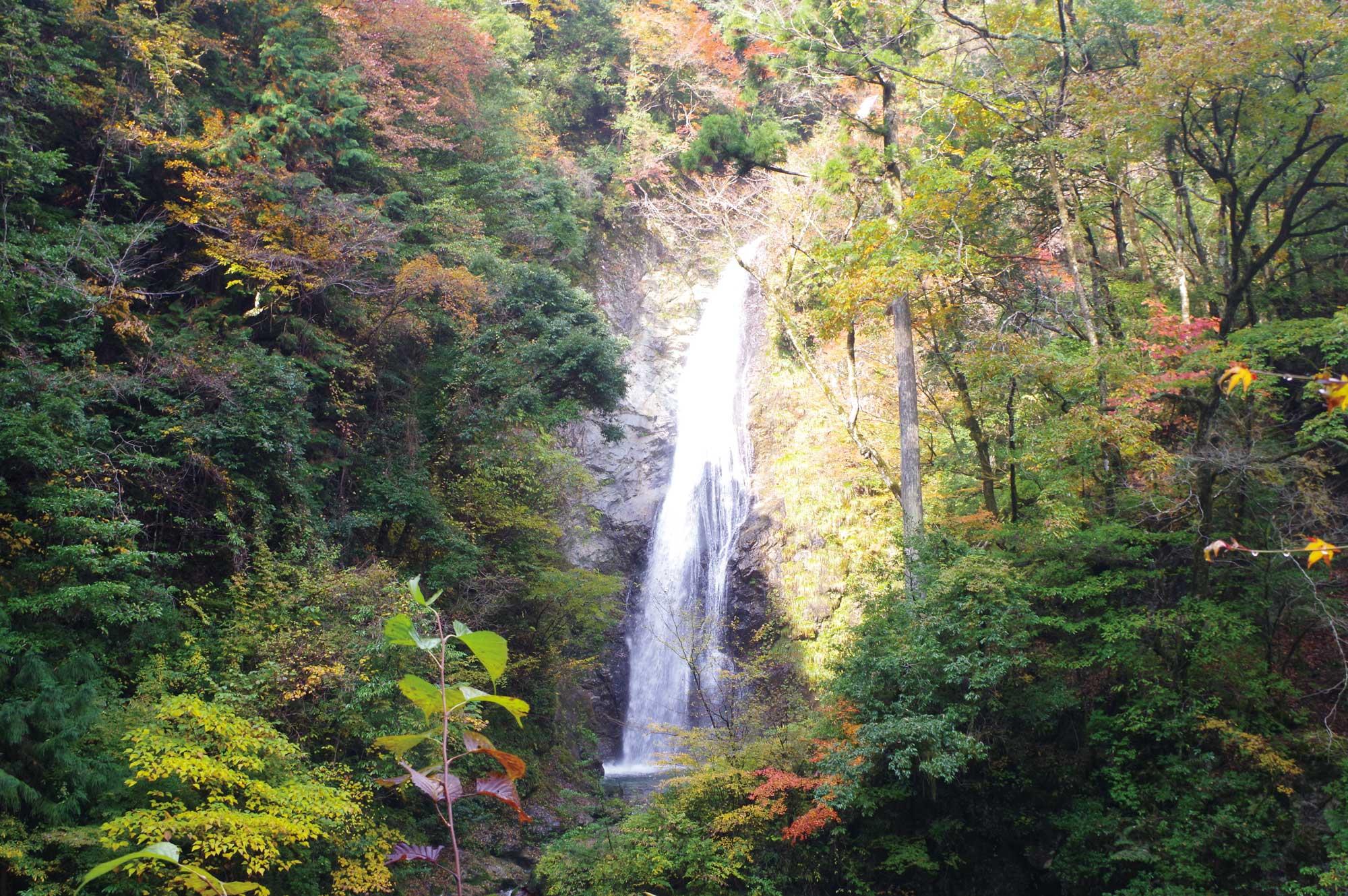 加工済_21m10_009しそう_原不動滝黄葉.jpg