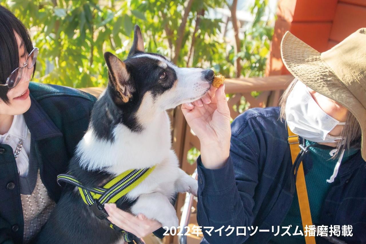 22MM_PUUTEE-Cafe_main_dog.jpg