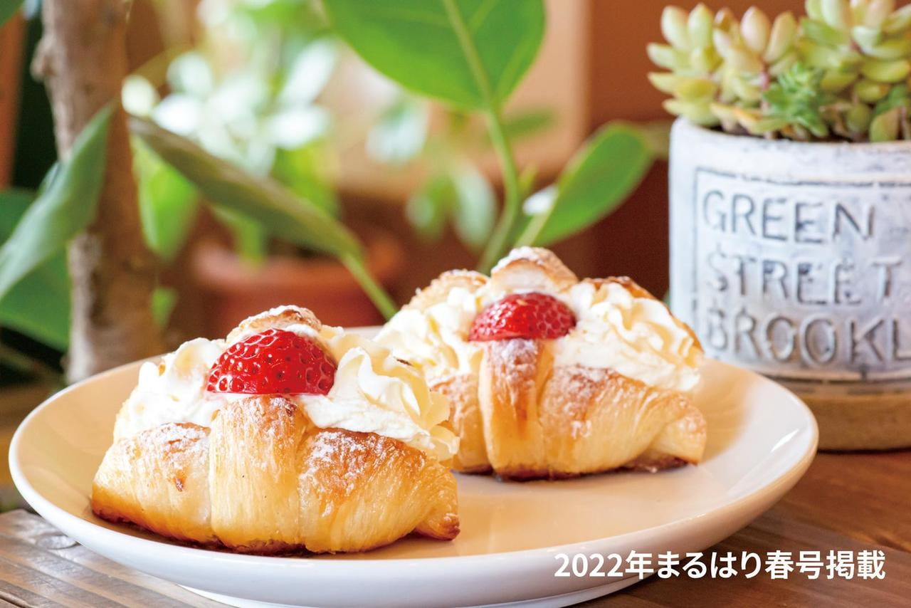 22haru_Ono_sakura_Eiger_Ono_01_main_berry_Croissant.jpg