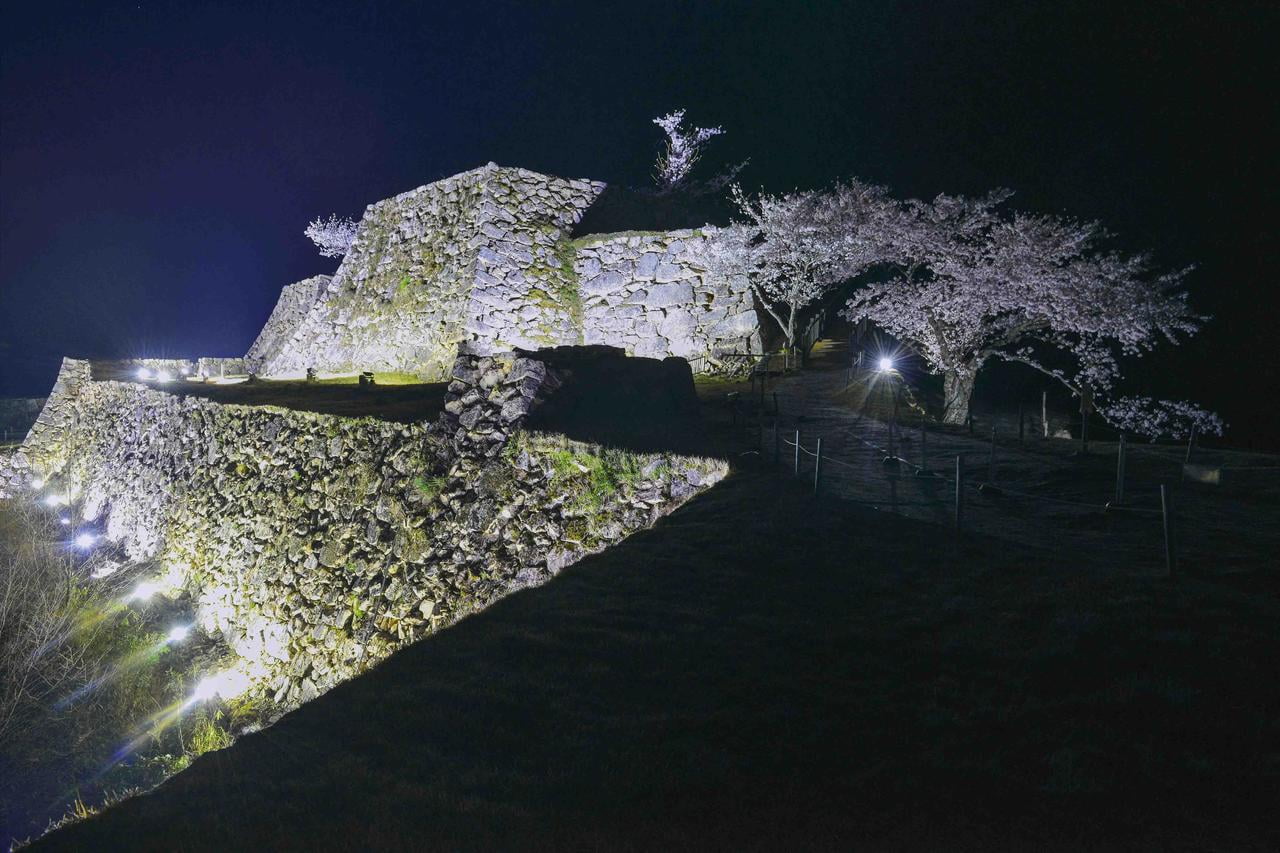 竹田城跡と夜桜ライトアップの写真.jpg