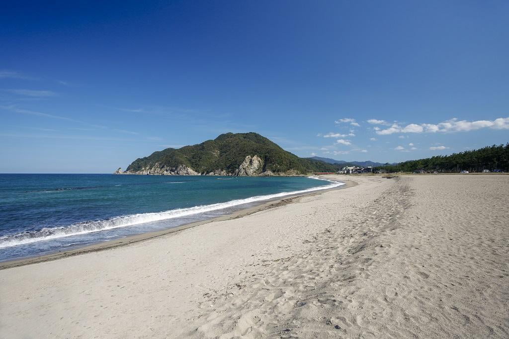 浜坂県民サンビーチ松の庭の写真