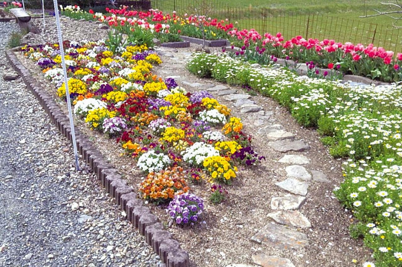 たつの市新宮町で開催されるオープンガーデンinしんぐうの会場であるプチ花の輪の花壇の写真
