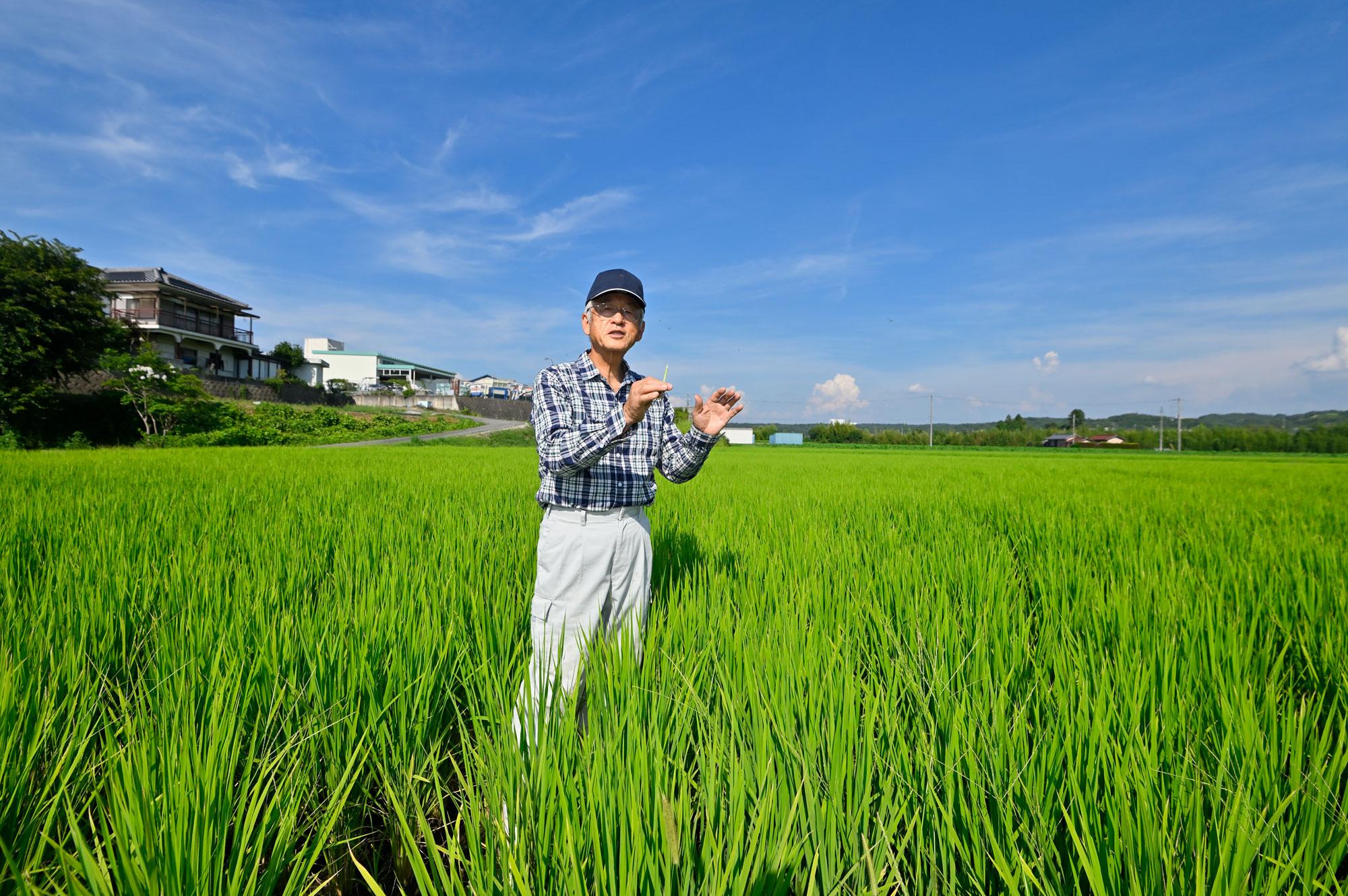 加工済＿2510_兵庫県産山田錦01_03.jpg