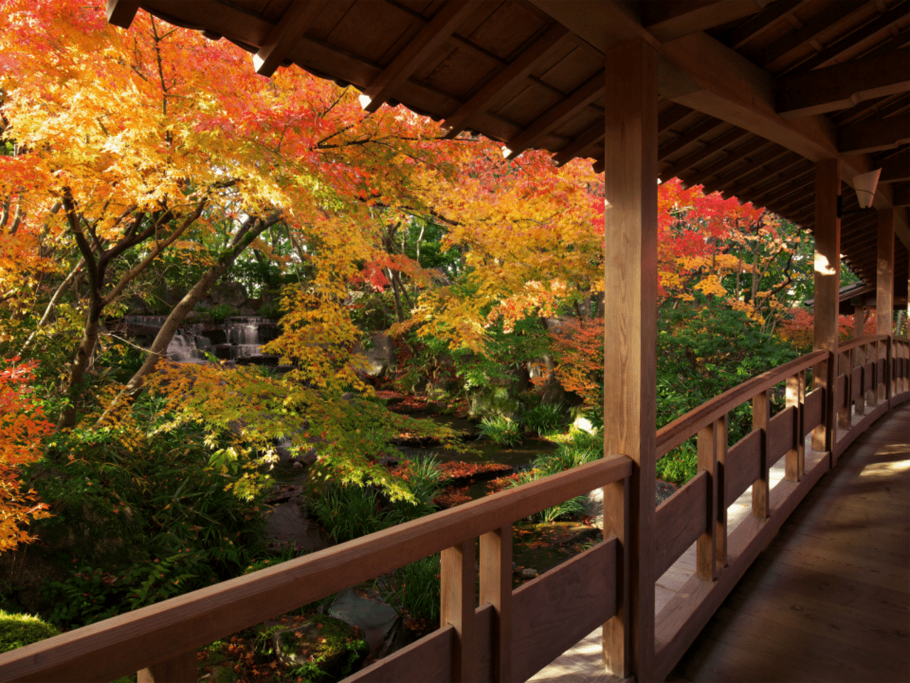 紅葉の景色