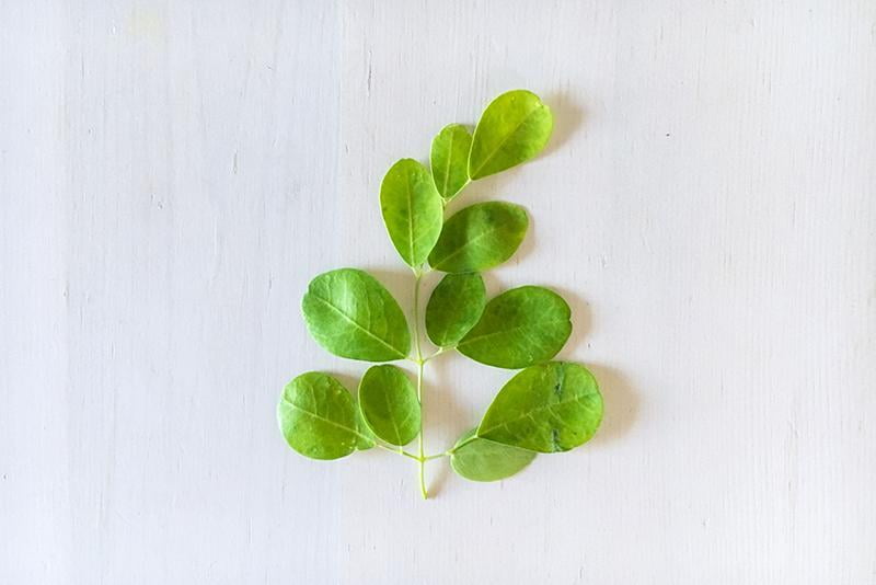 花粉症で薬に頼りたくないあなたへ いつもの食事にプラスするだけ 花粉に負けない体づくり みつけて播磨情報サイト 姫路みたい