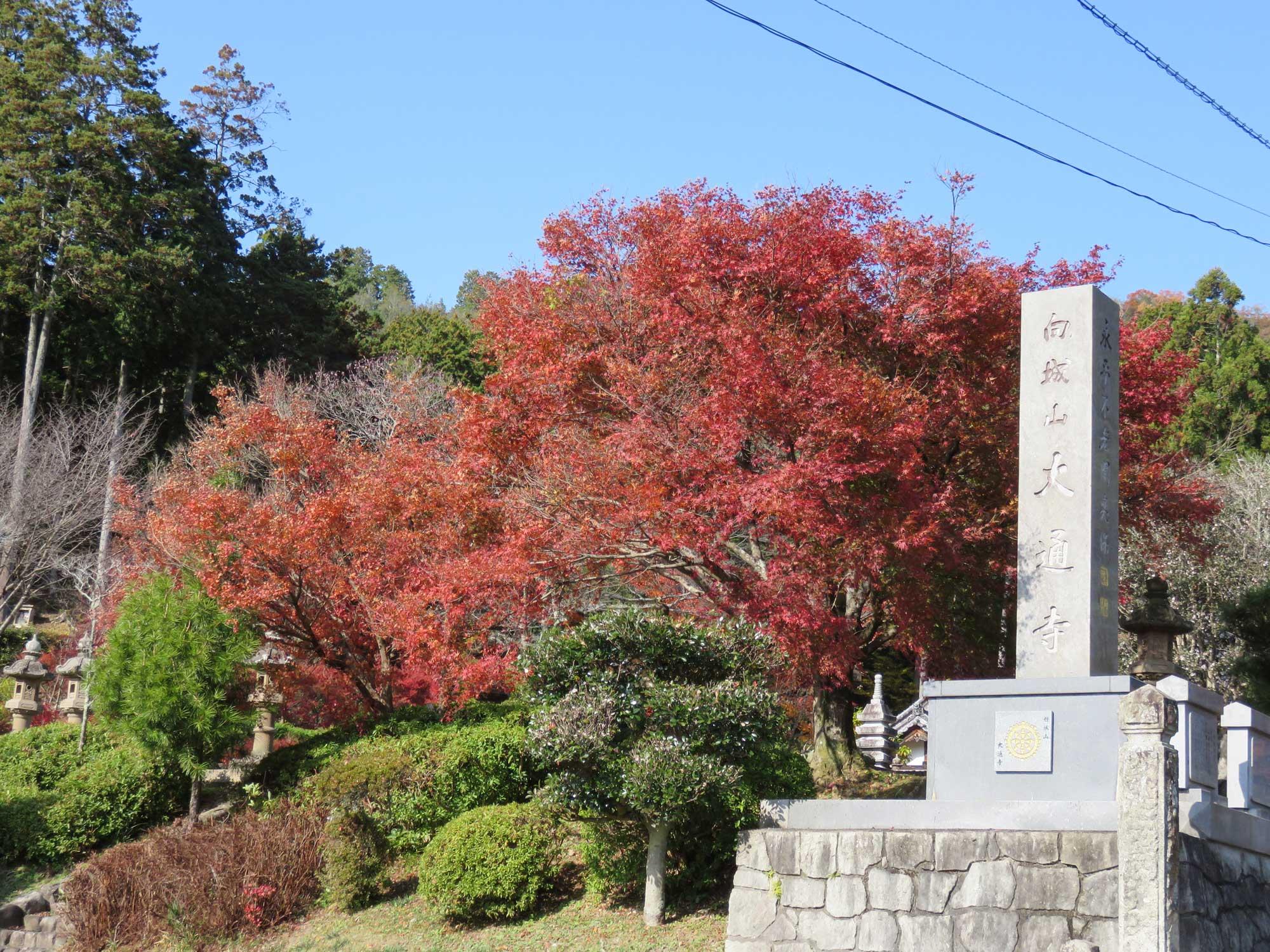 加工済_2411_魅力の播磨-紅葉_大通寺_写真.jpg