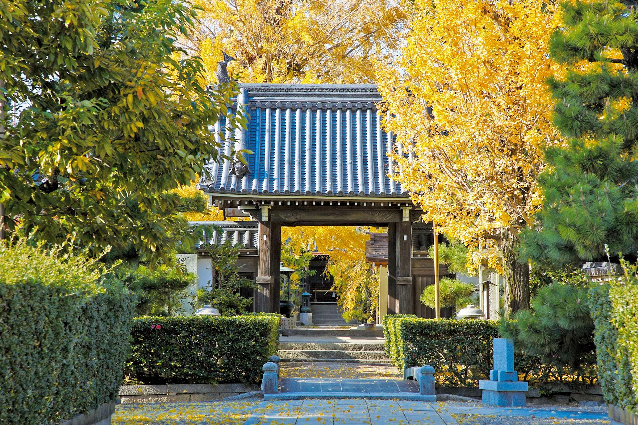 加工済_2411_魅力の播磨-紅葉_称名寺_小西玲奈.jpg