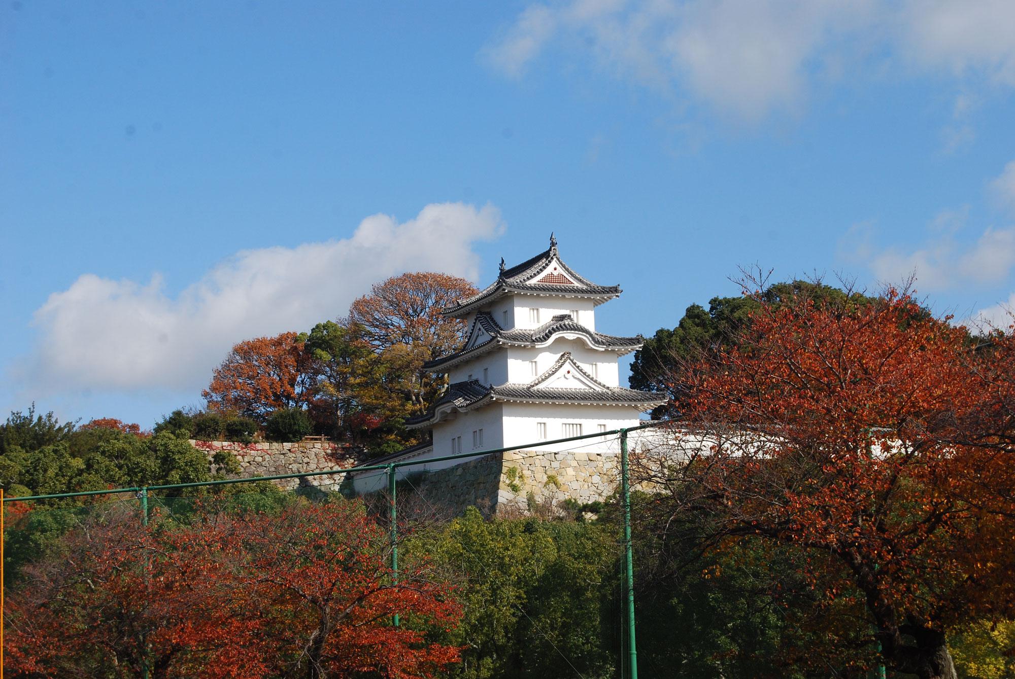 加工済_2411_魅力の播磨-紅葉_明石公園_写真（明石城紅葉(野球場から)）.jpg