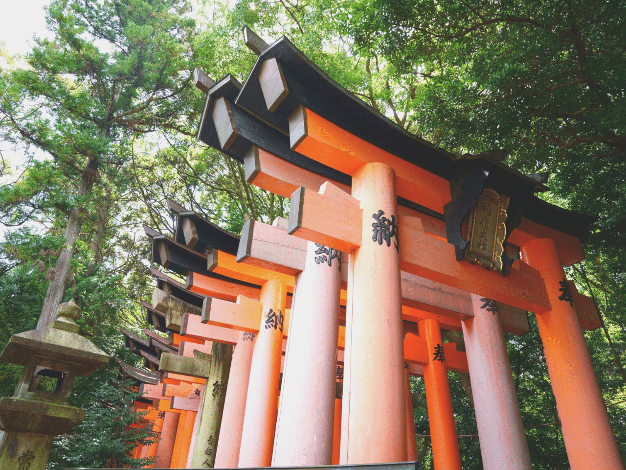 神社の鳥居