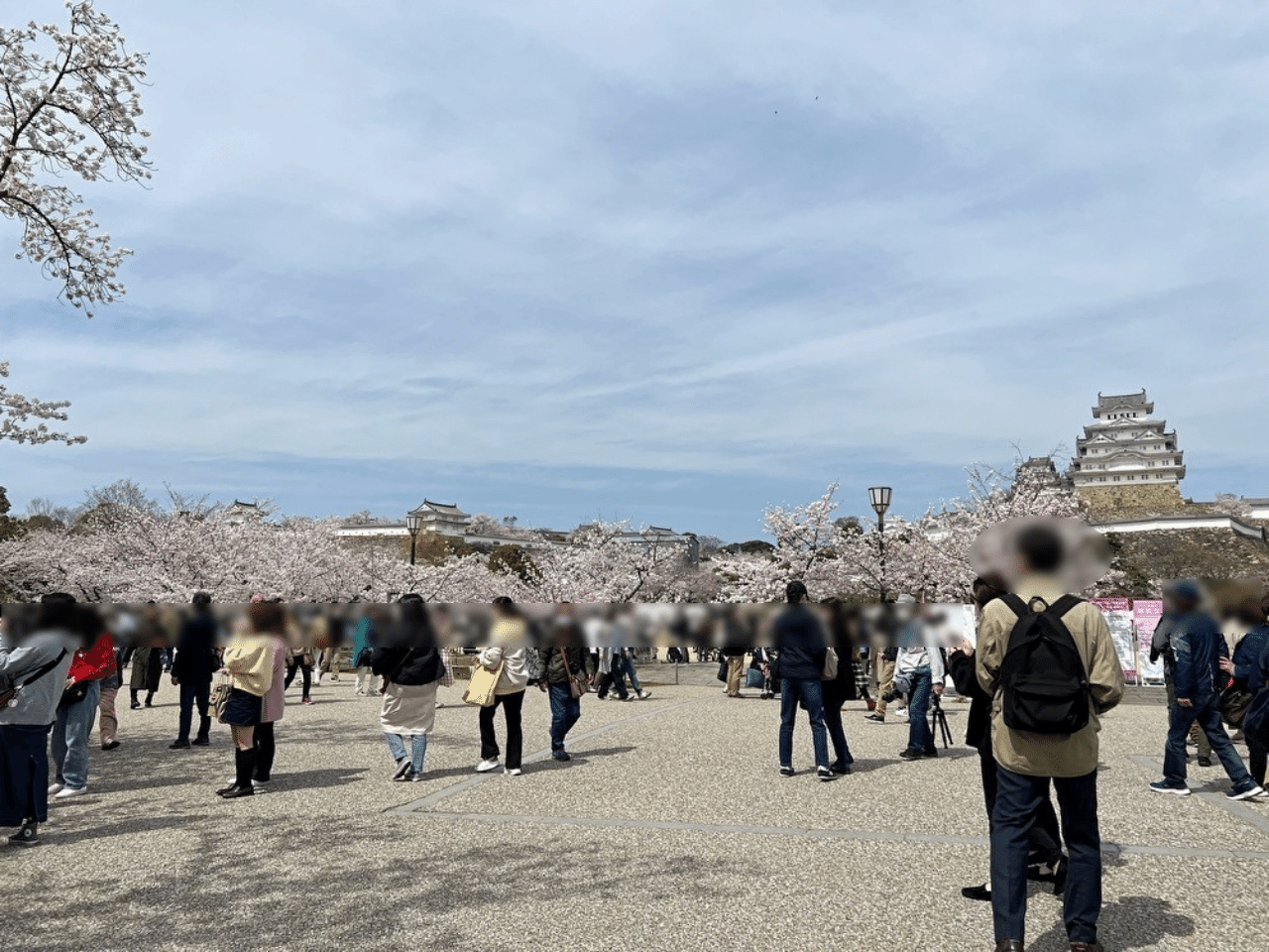 お花見客