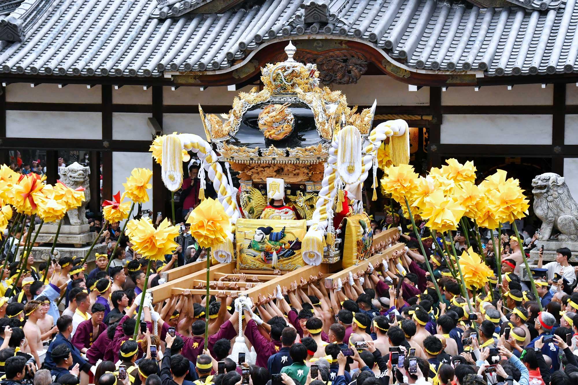 加工済_matsubara_usazaki.jpg