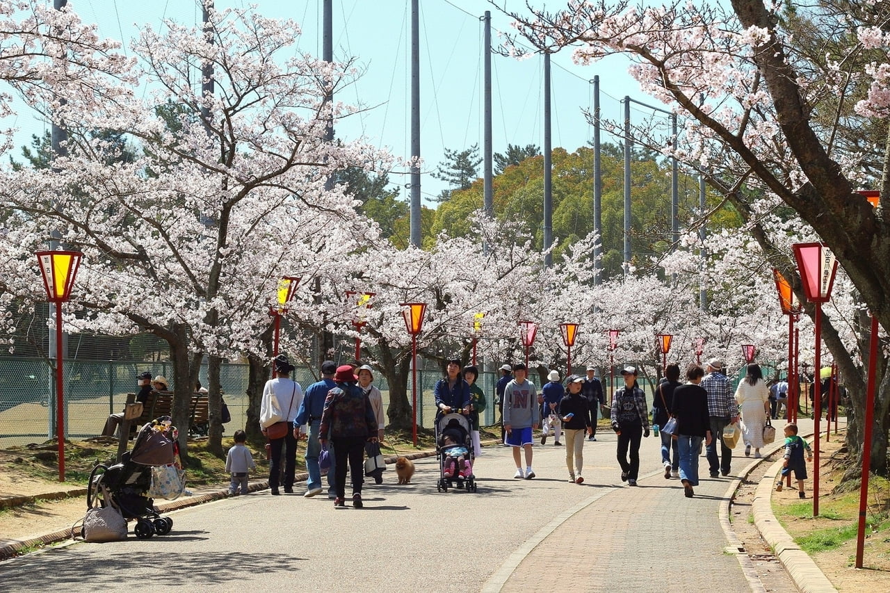 日岡山公園１.jpg