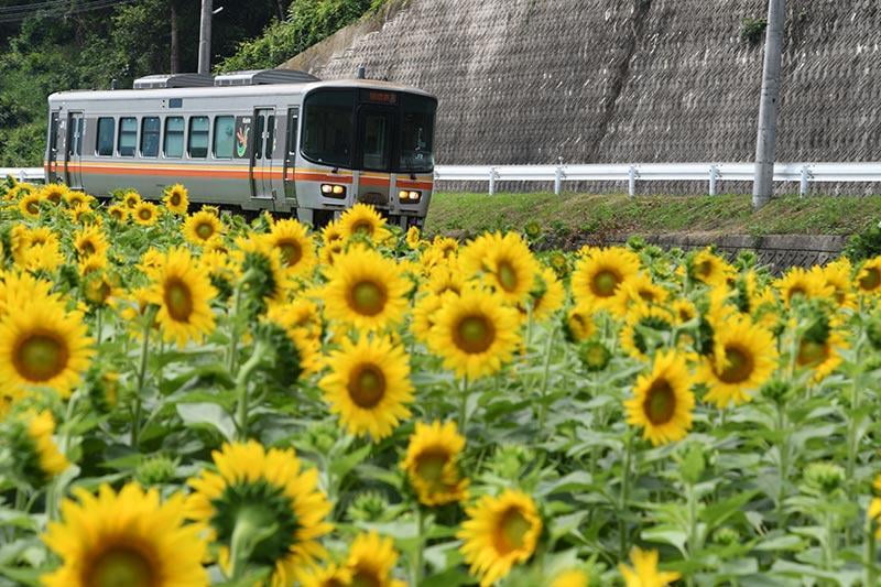 加工済み_DSC_7982.jpg