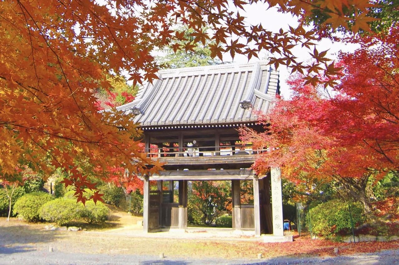 太山寺の紅葉の写真