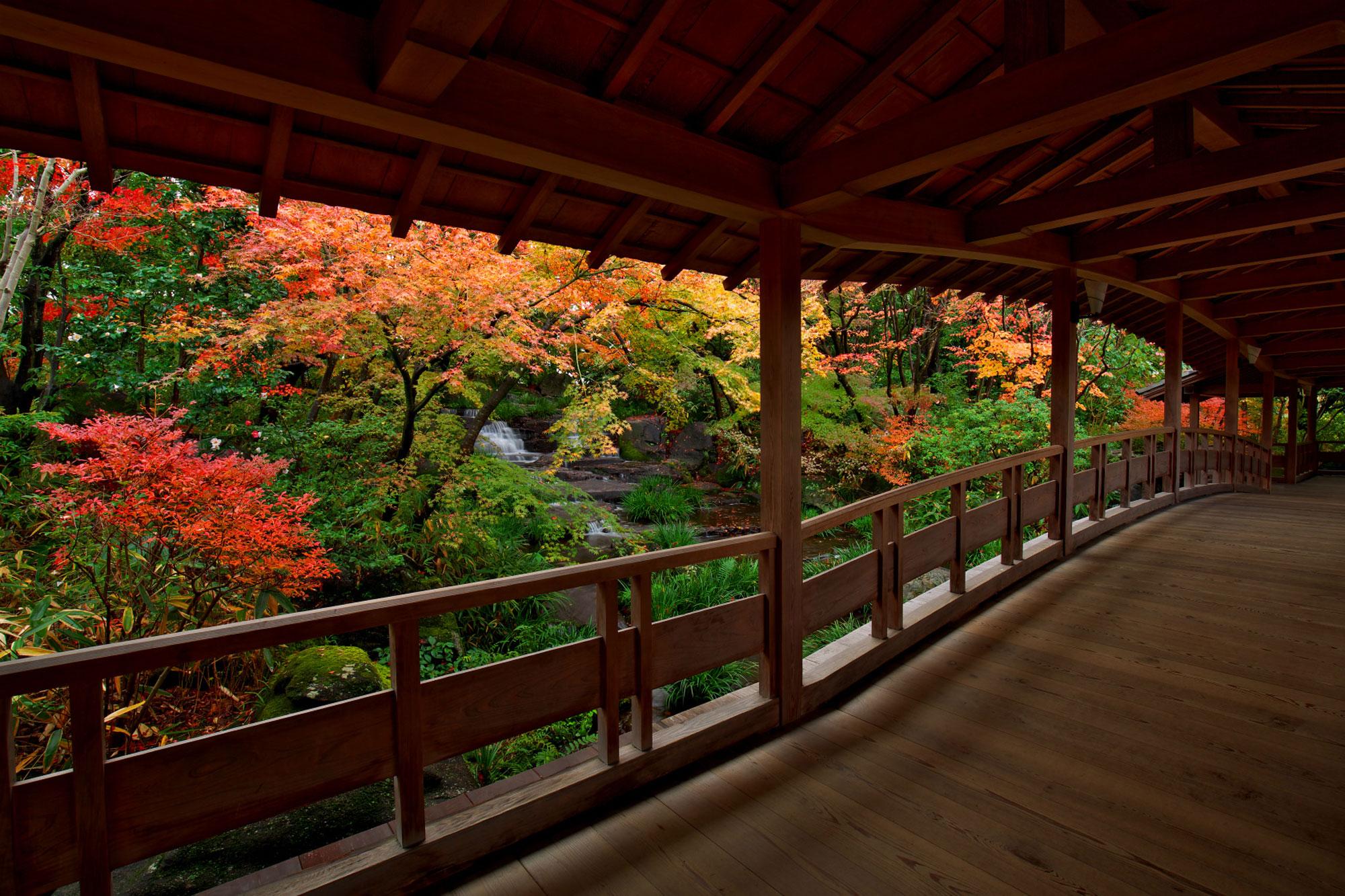 加工済_2411_魅力の播磨-紅葉_好古園_写真（渡り廊下(6)）.jpg