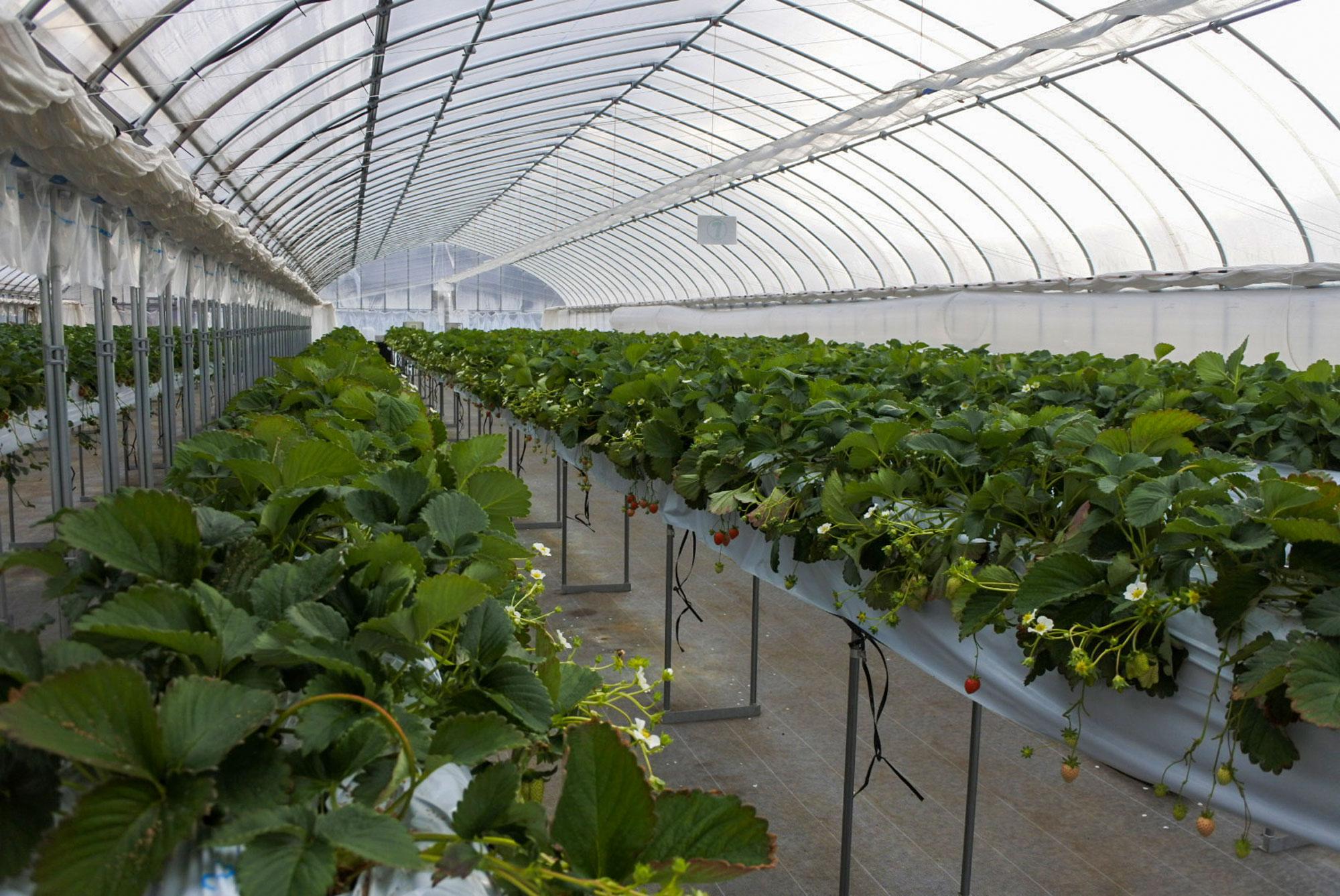 加工済_25_2_nisshifarm_sub_02.jpg