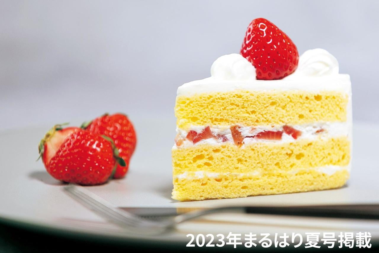 23natsu_まるはリーク-anniversary_サン・ミッシェル_02.jpg