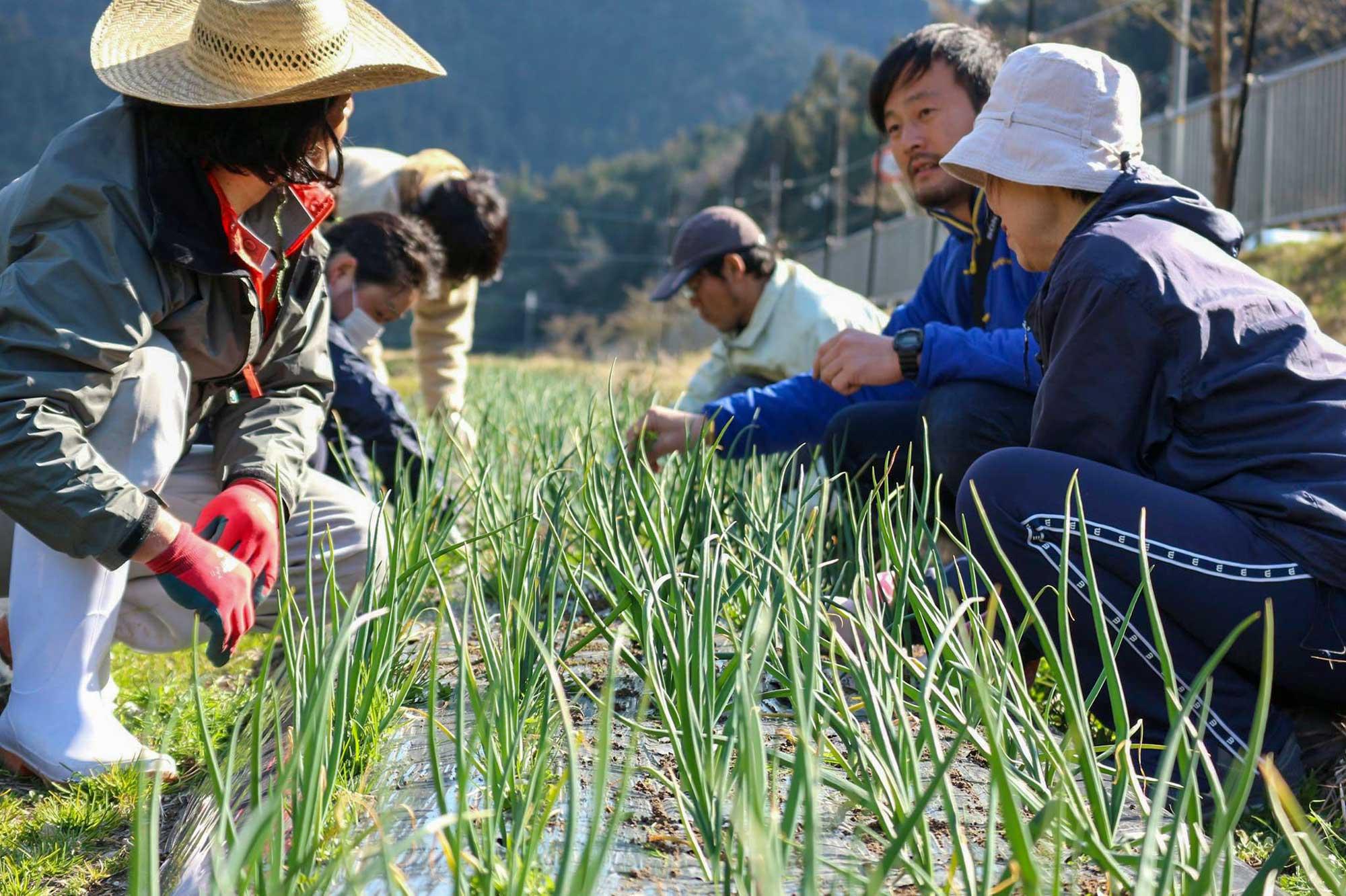 加工済_2508_市川町_笠形オーガニック_01.jpg