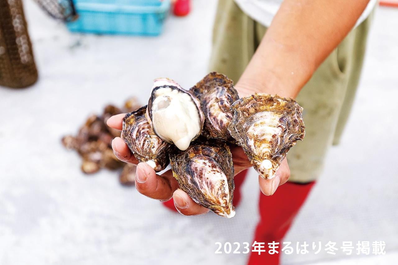 22fuyu_牡蠣_室津漁協_sub3.jpg