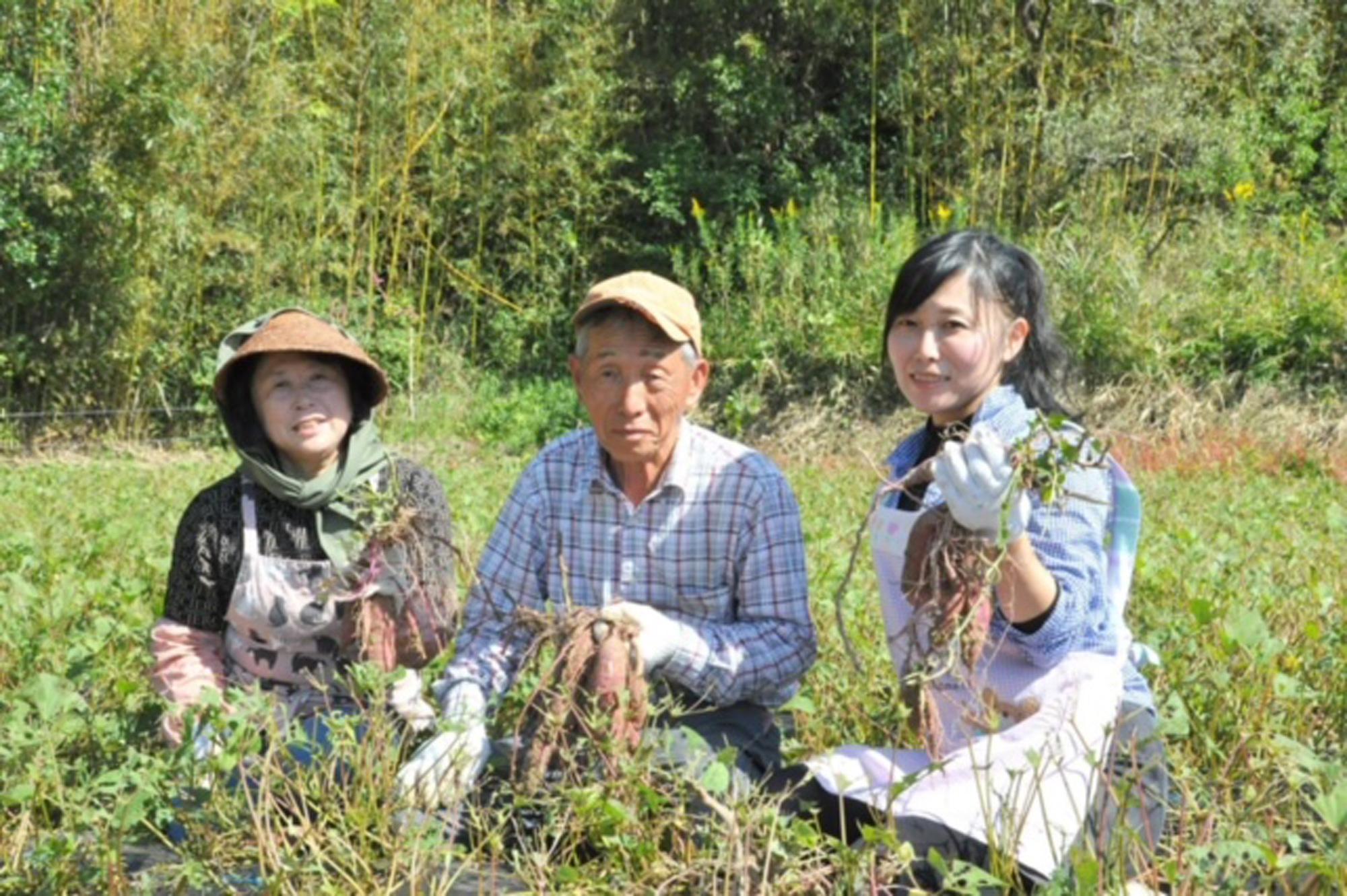 加工済_2409_さつまいもの収穫体験_写真02（幸田農園）.jpg