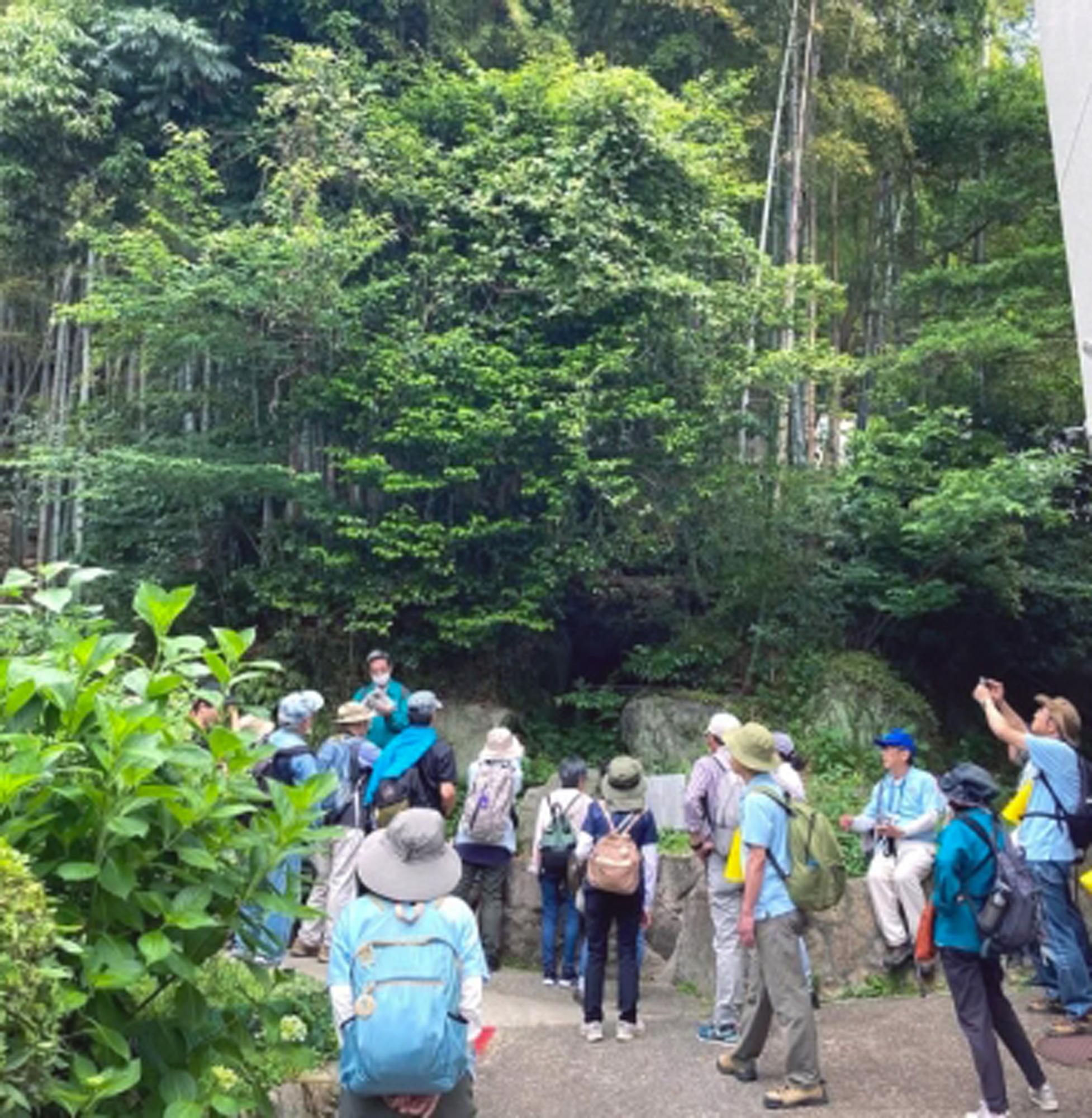 加工済_5.30-遺跡ウォーク.jpg