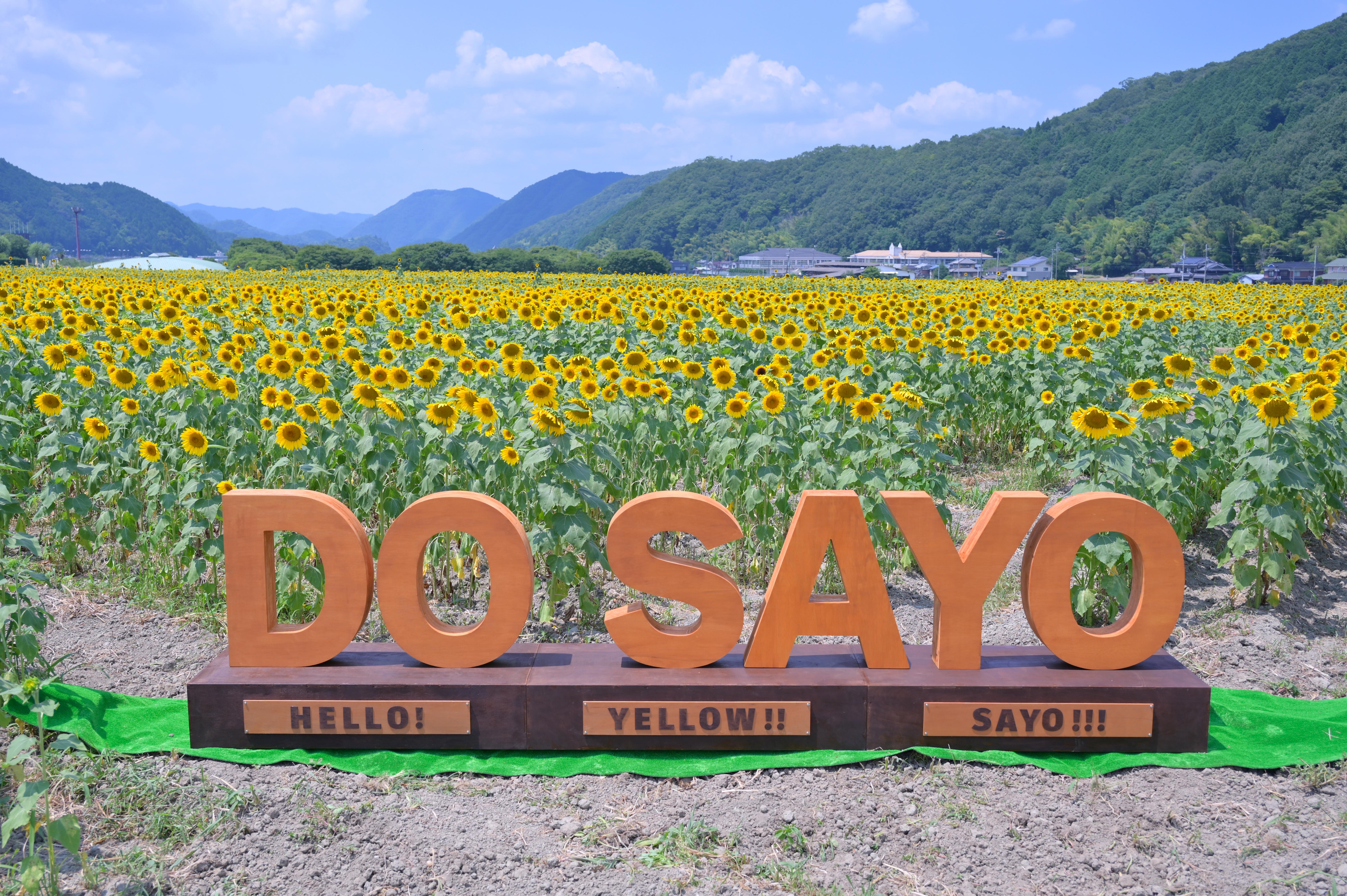 2607_佐用町01_南光ひまわり祭り_メイン.JPG