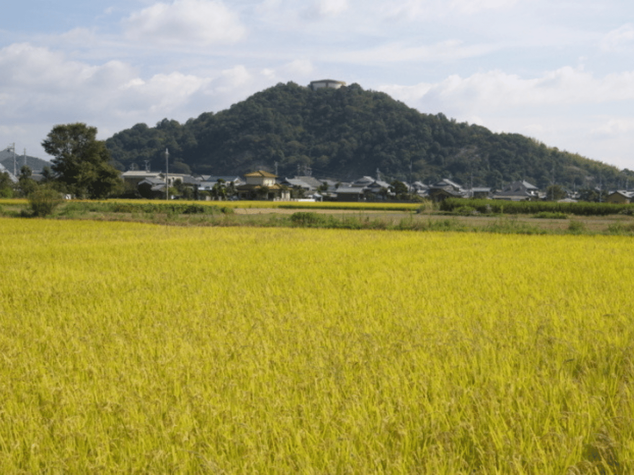 立岡山の写真