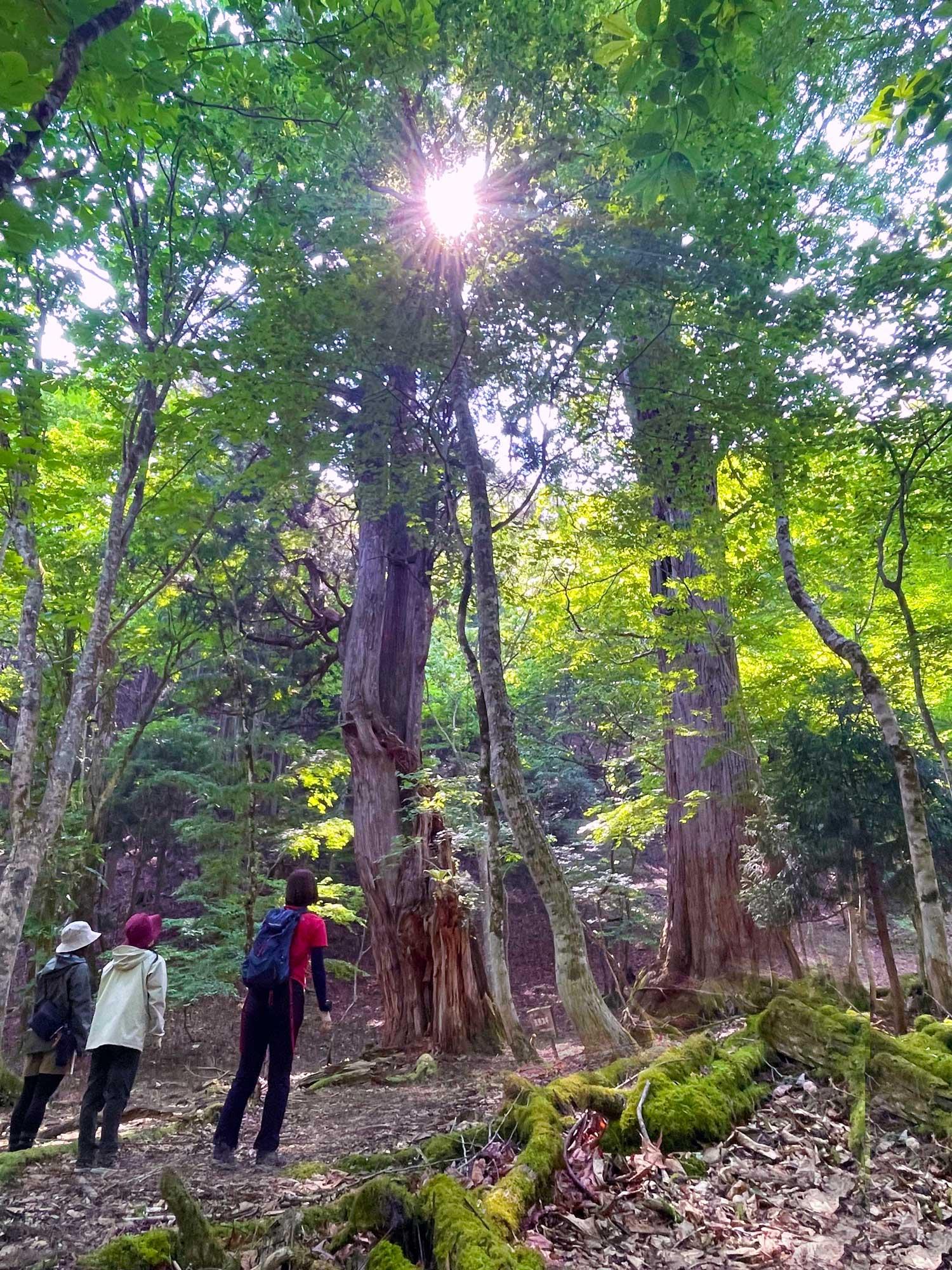 加工済_2507_ひょうごFP宍粟市_10.jpg