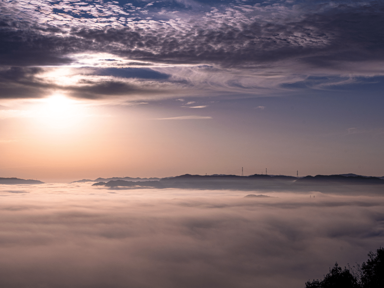 大撫山から見られる朝霧