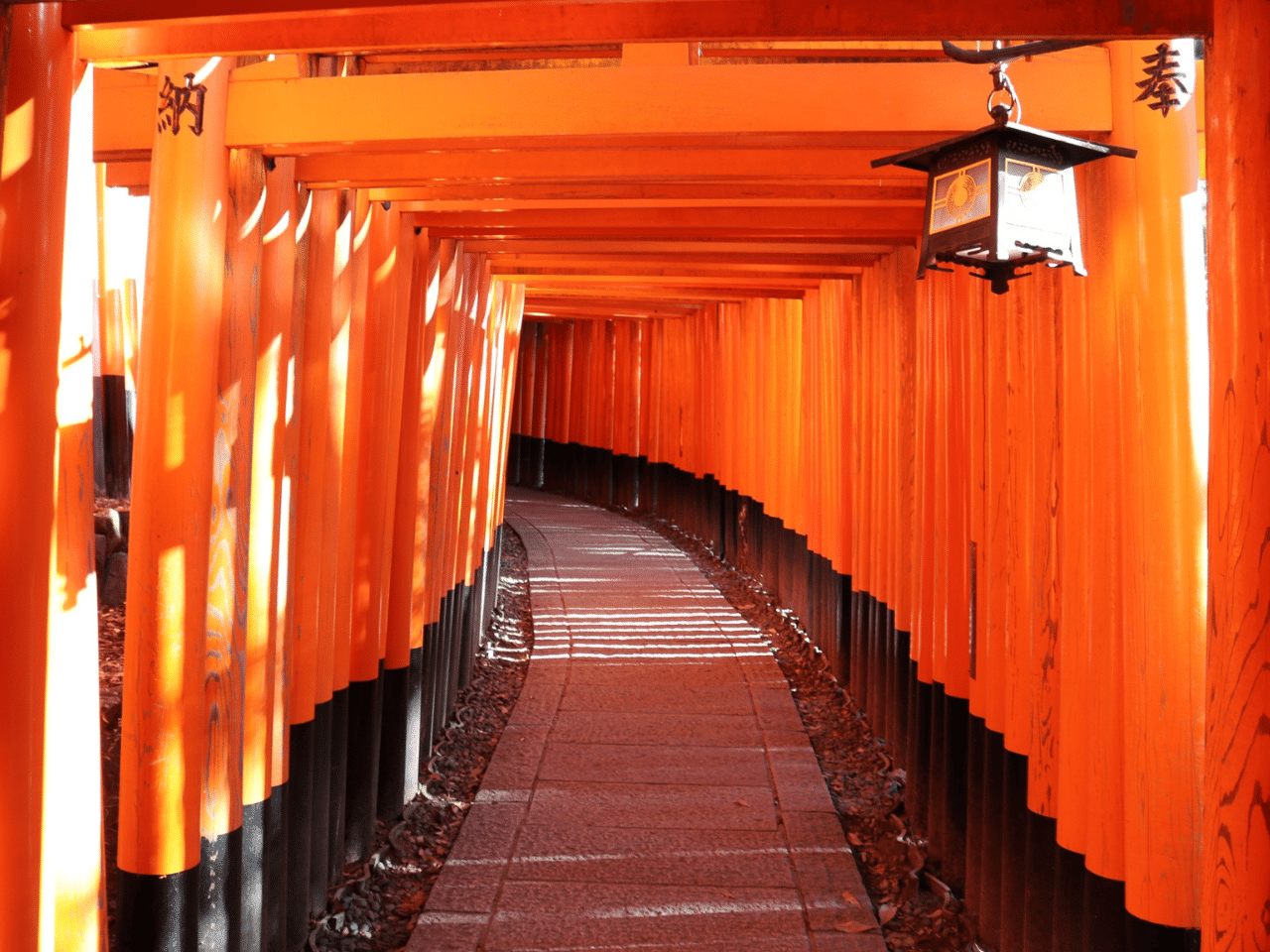 並ぶ鳥居