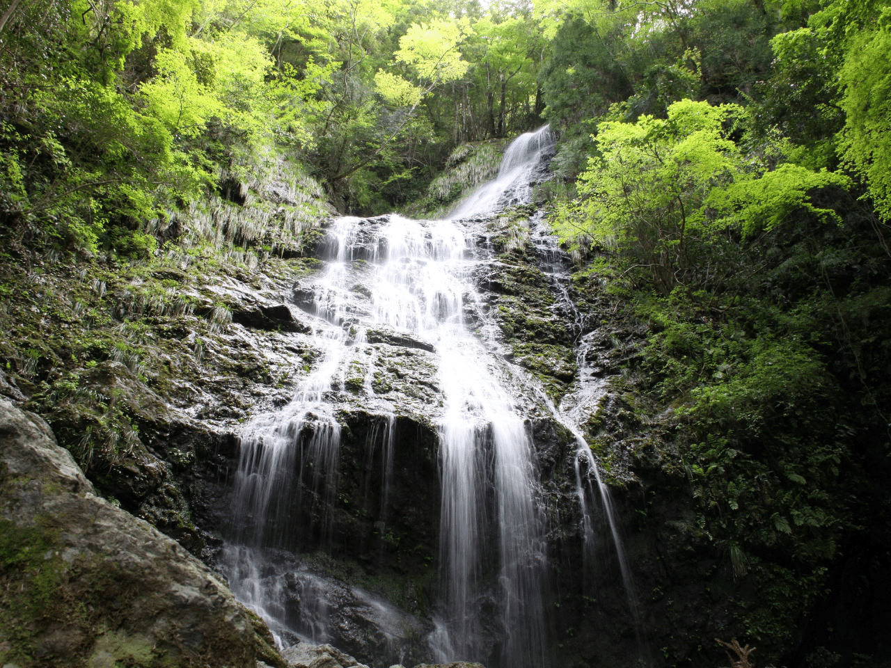 飛龍の滝