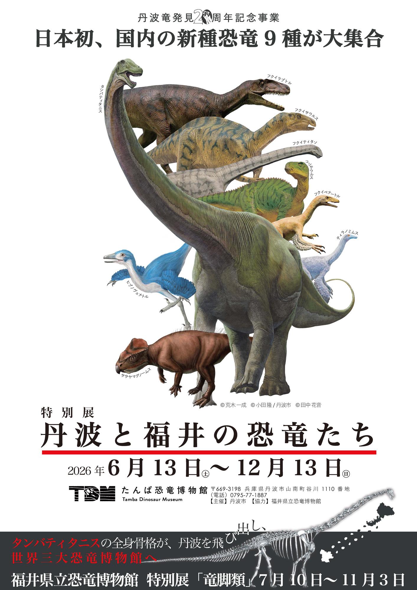 加工済_恐竜_特別展(6-12).jpg